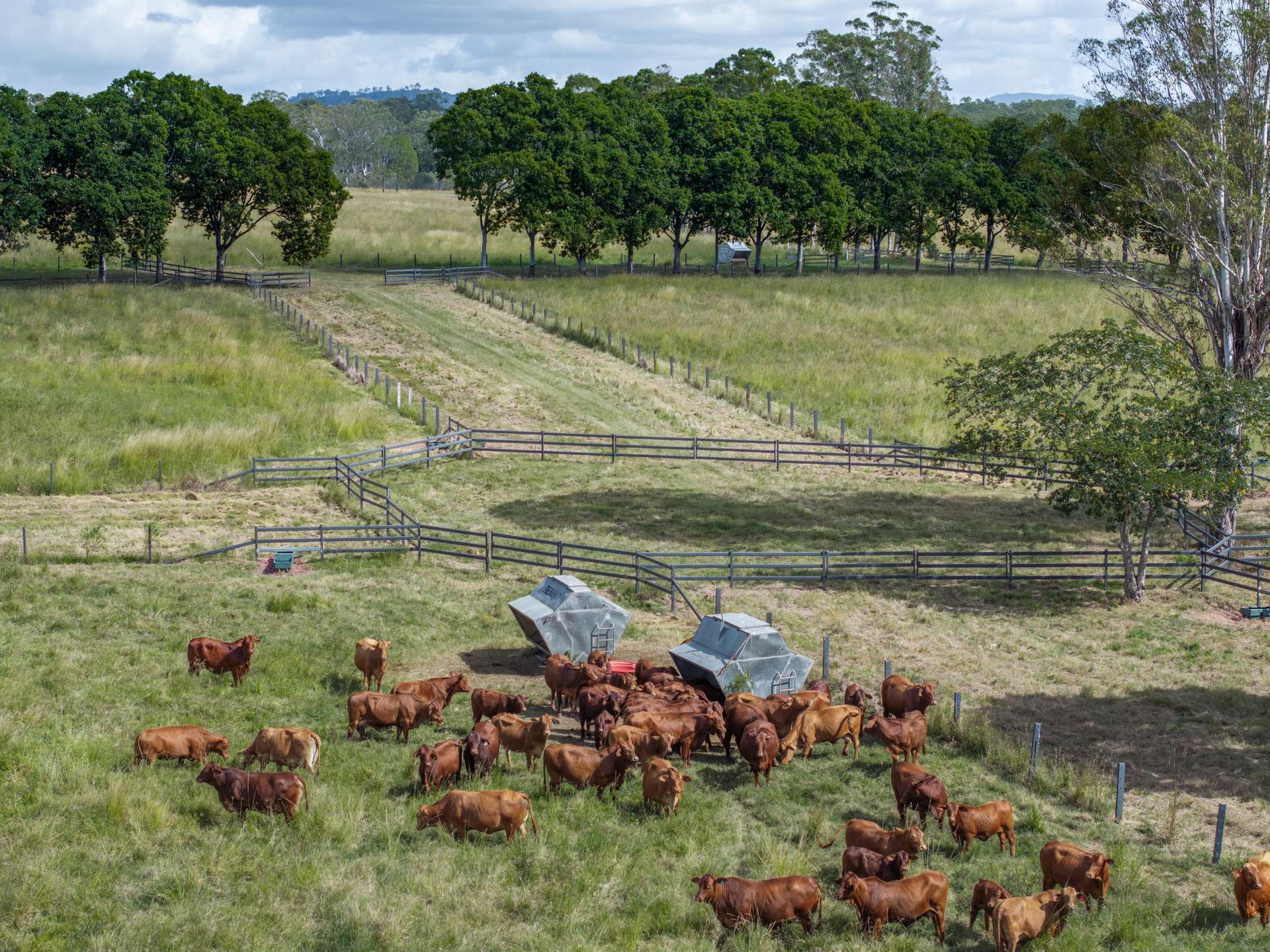415-433 Anderleigh Road, Gunalda Auction by Farmbuy.com - image 3