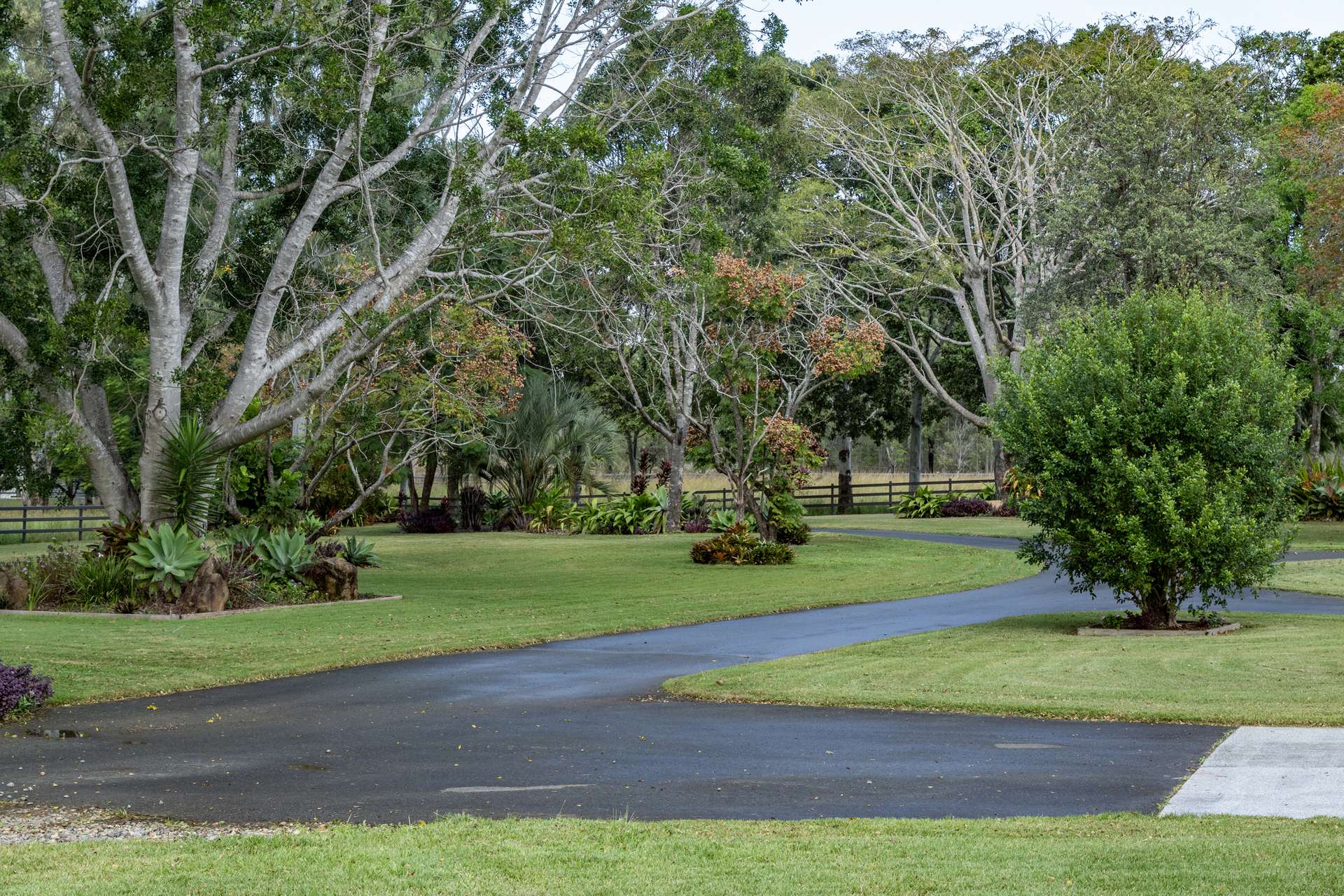 415-433 Anderleigh Road, Gunalda Auction by Farmbuy.com - image 10
