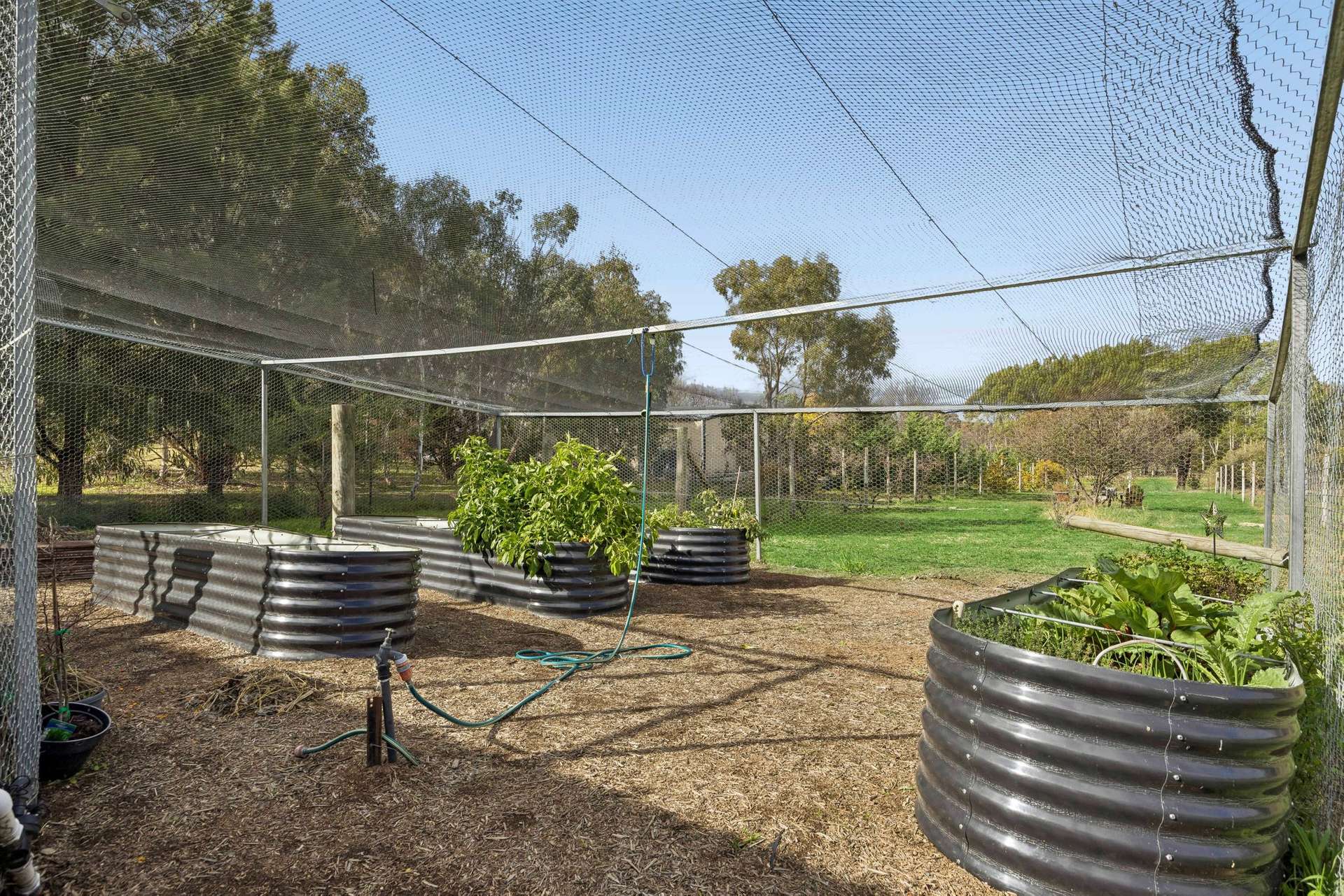 'The Finches', 7 Galloway Place, Murrumbateman For Sale by Farmbuy.com - image 26