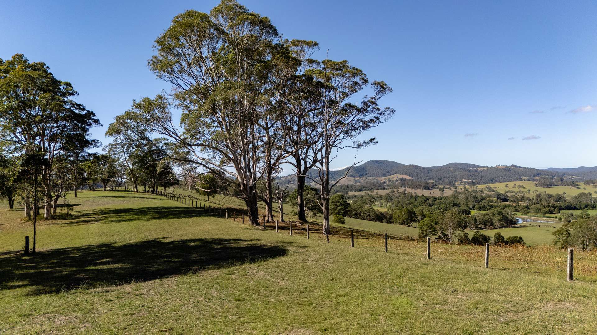 1033 Bunyah Road, Bunyah For Sale by Farmbuy.com - image 32