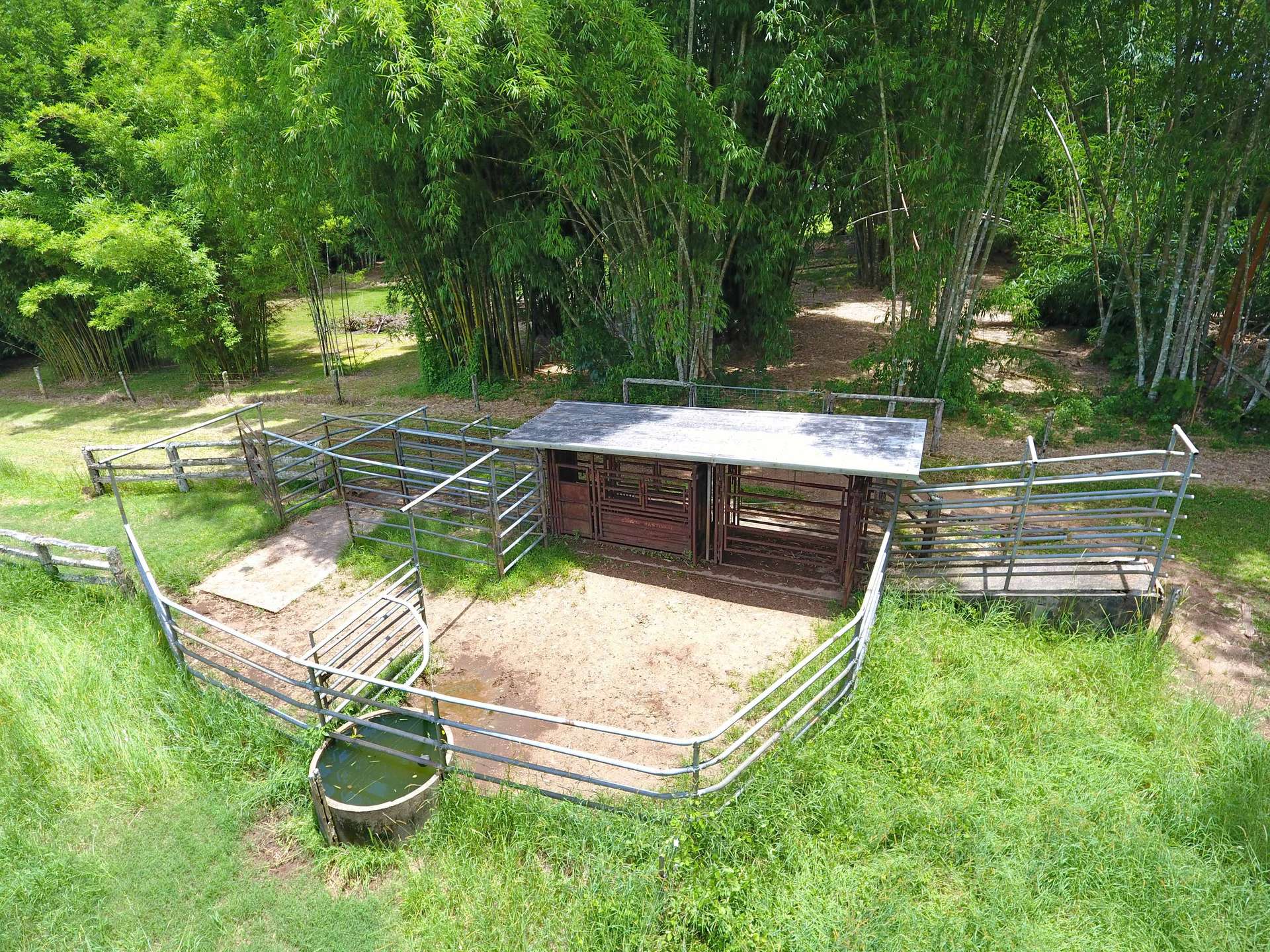 8622 Kennedy Highway, Atherton For Sale by Farmbuy.com - image 4