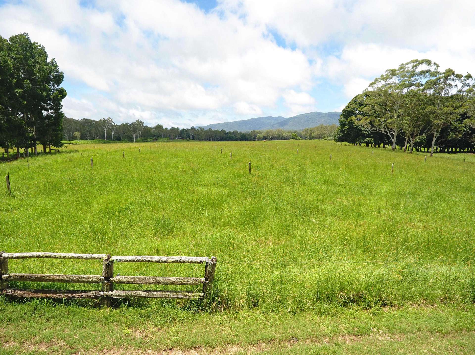 8622 Kennedy Highway, Atherton For Sale by Farmbuy.com - image 5