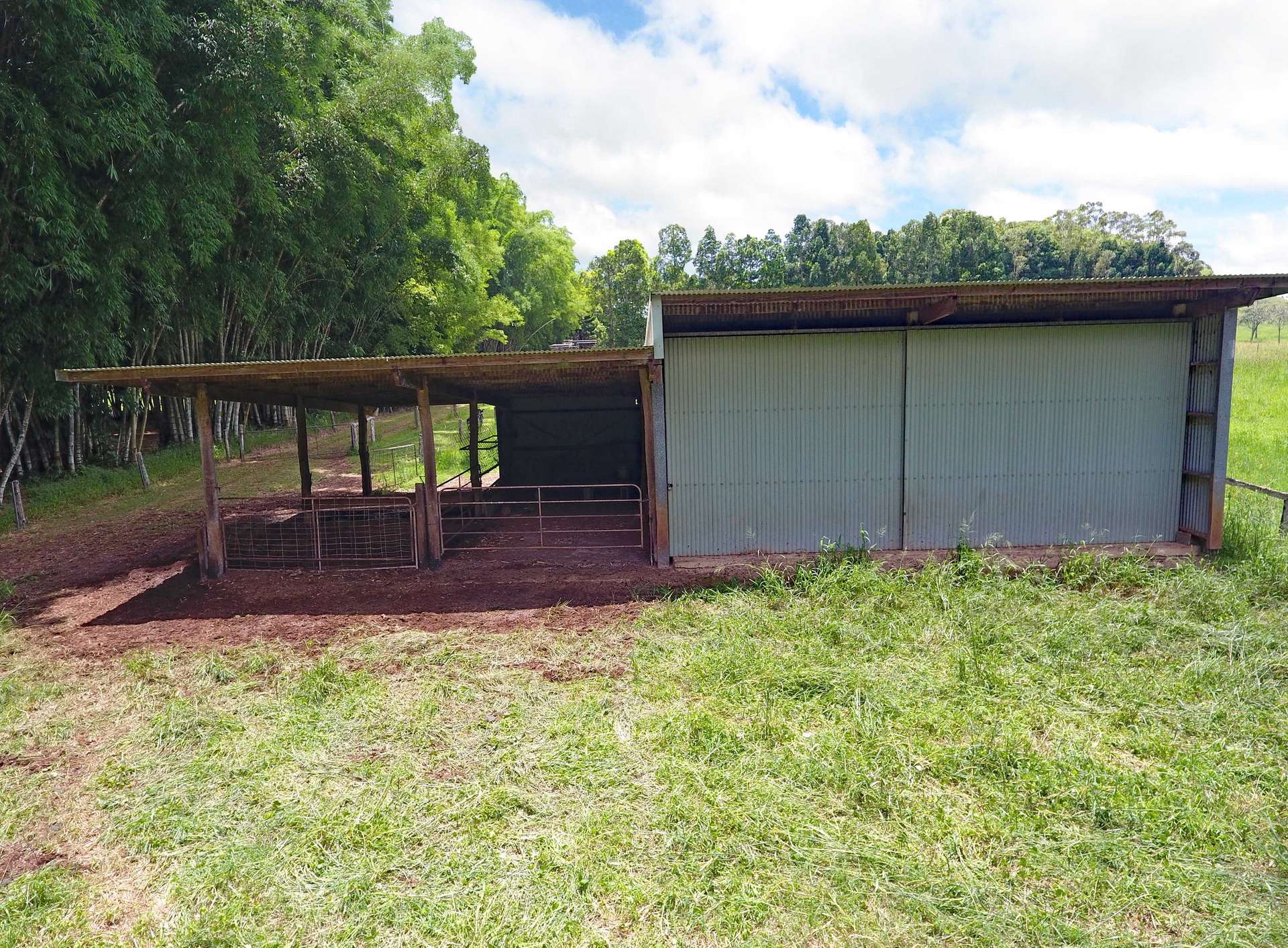 8622 Kennedy Highway, Atherton For Sale by Farmbuy.com - image 11