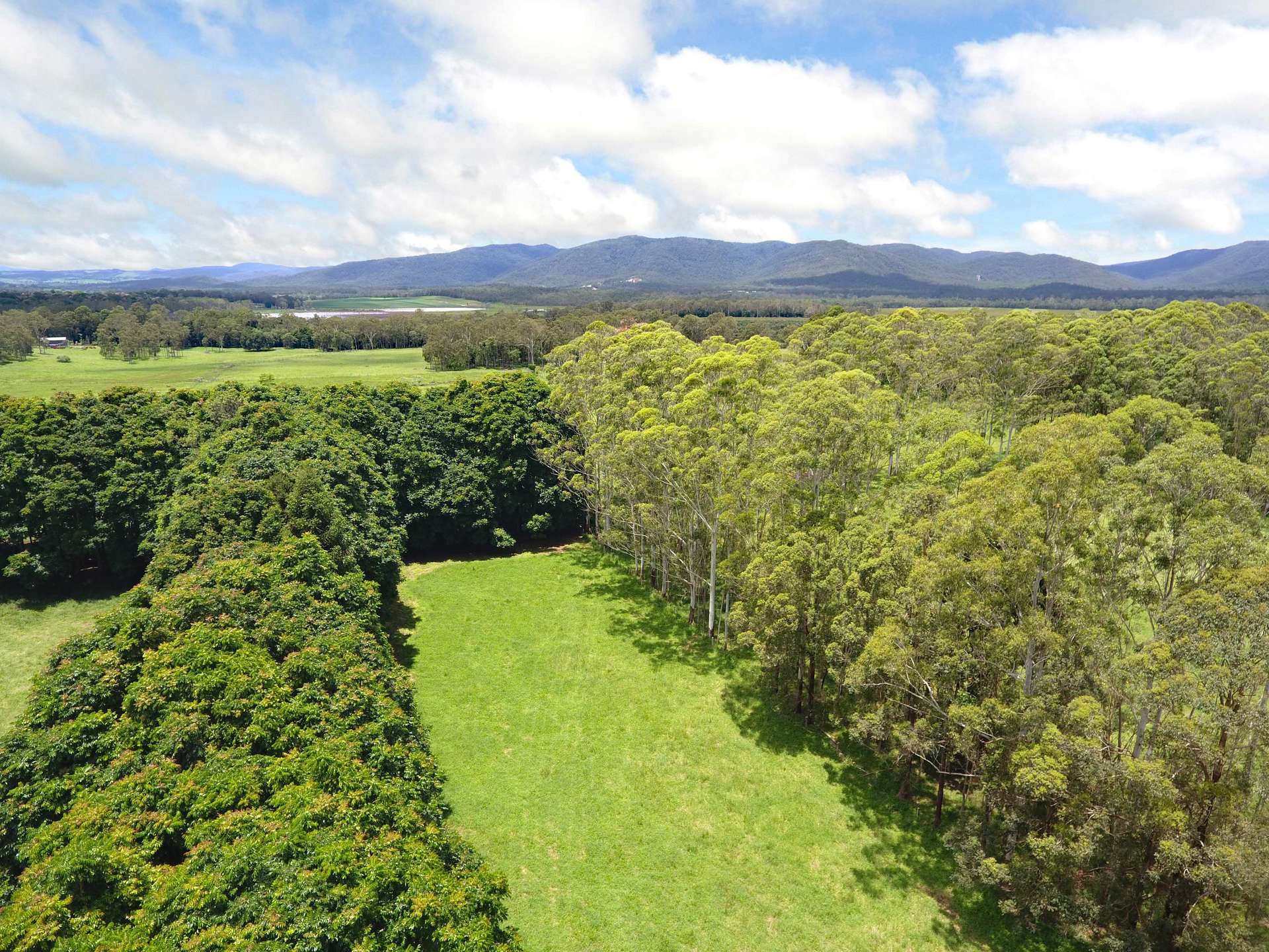 8622 Kennedy Highway, Atherton For Sale by Farmbuy.com - image 13