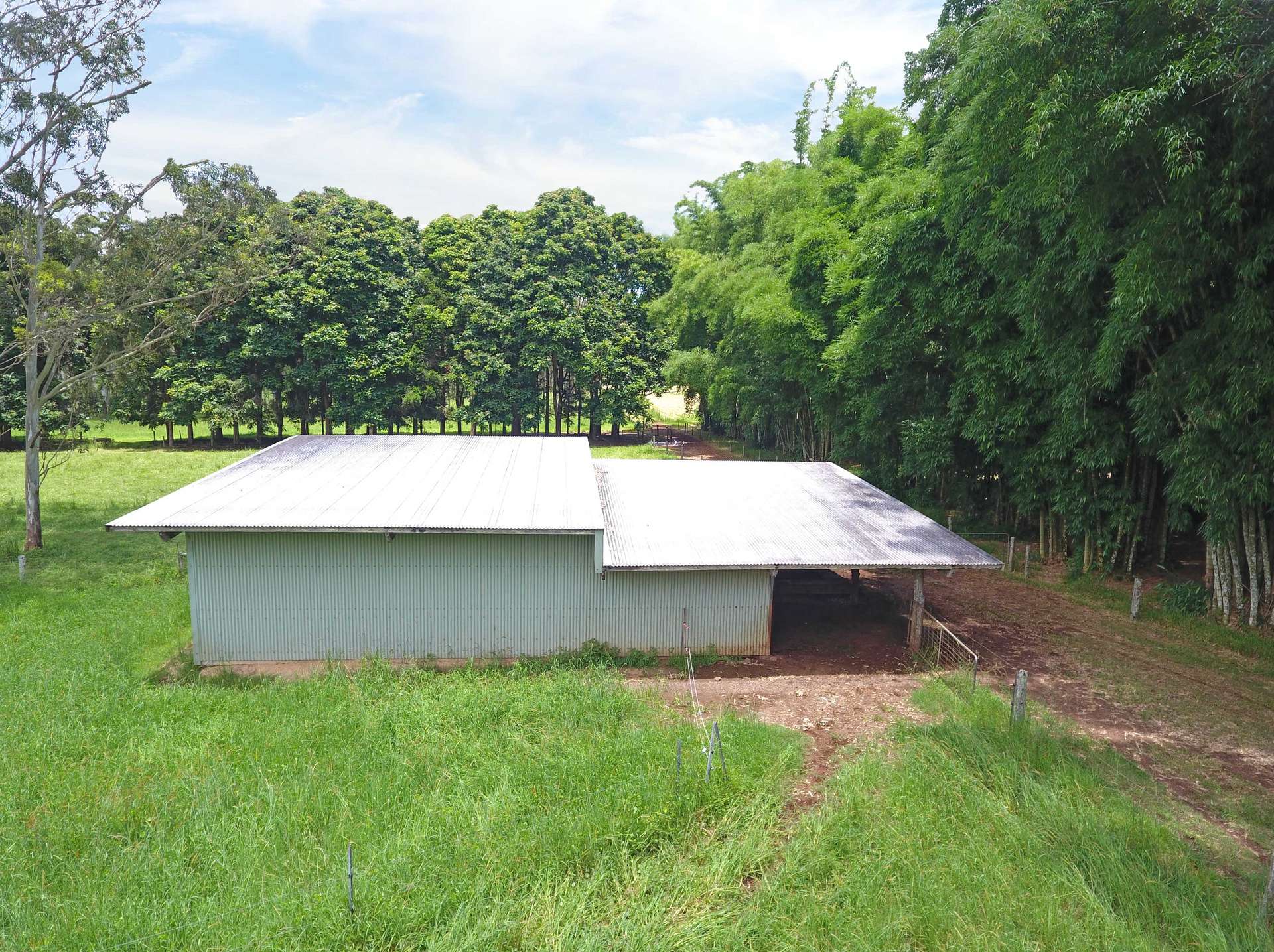 8622 Kennedy Highway, Atherton For Sale by Farmbuy.com - image 12