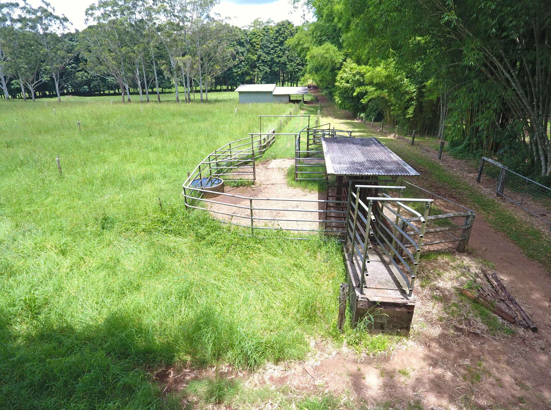 8622 Kennedy Highway, Atherton For Sale by Farmbuy.com - image 9