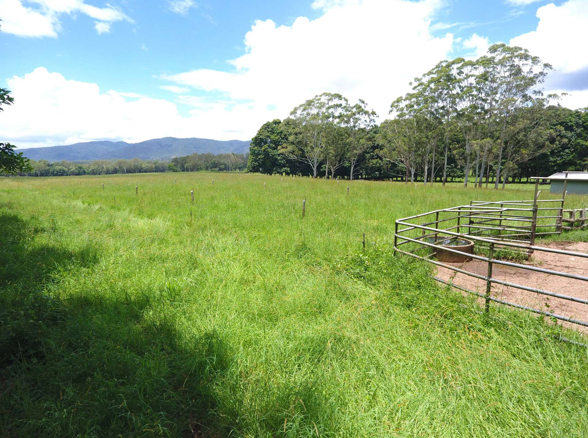 8622 Kennedy Highway, Atherton For Sale by Farmbuy.com - image 8