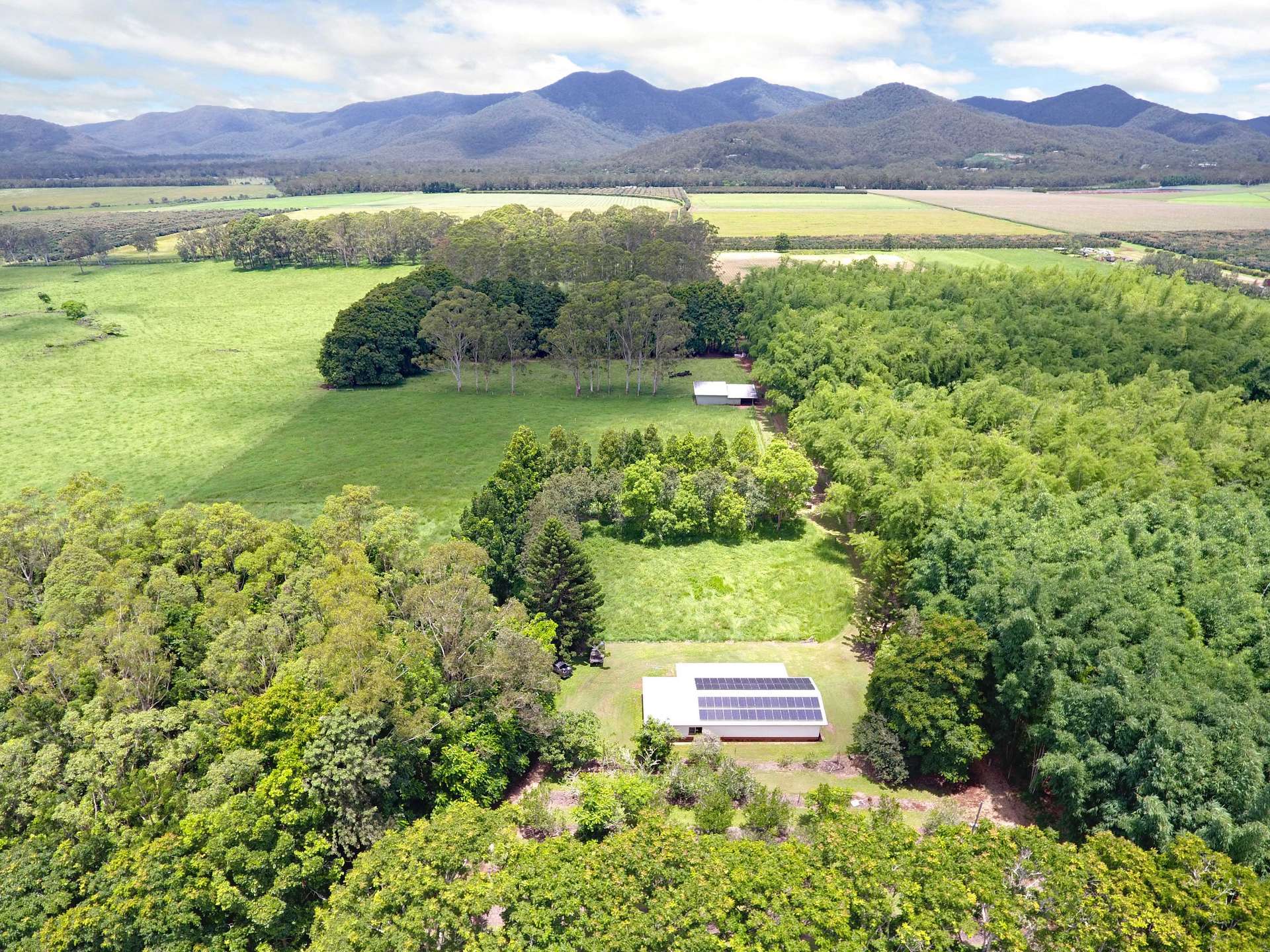 8622 Kennedy Highway, Atherton For Sale by Farmbuy.com - image 14