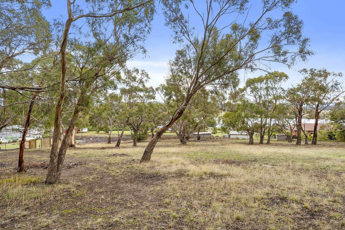 Lot 2, 11 Atkins Road, Granton For Sale by Farmbuy.com - image 5