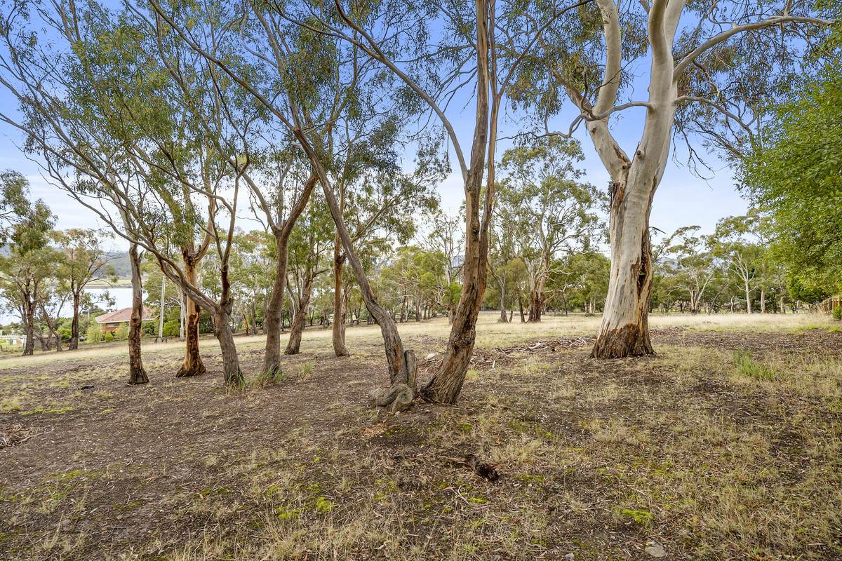 Lot 2, 11 Atkins Road, Granton For Sale by Farmbuy.com - image 4