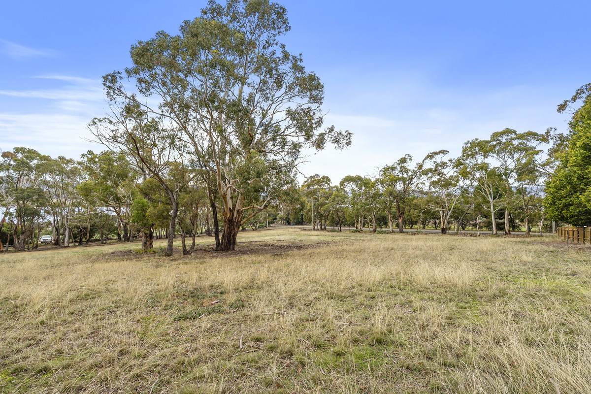 Lot 2, 11 Atkins Road, Granton For Sale by Farmbuy.com - image 10