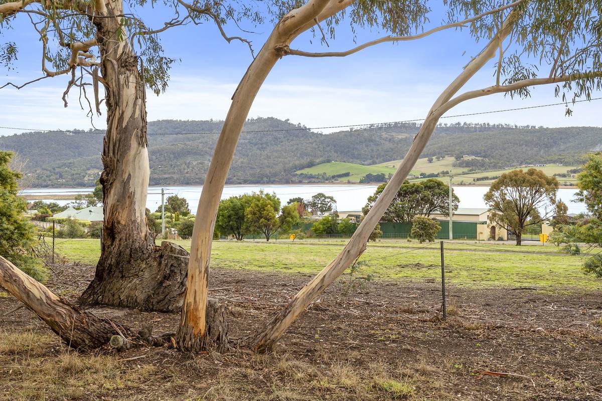 Lot 2, 11 Atkins Road, Granton For Sale by Farmbuy.com - image 6
