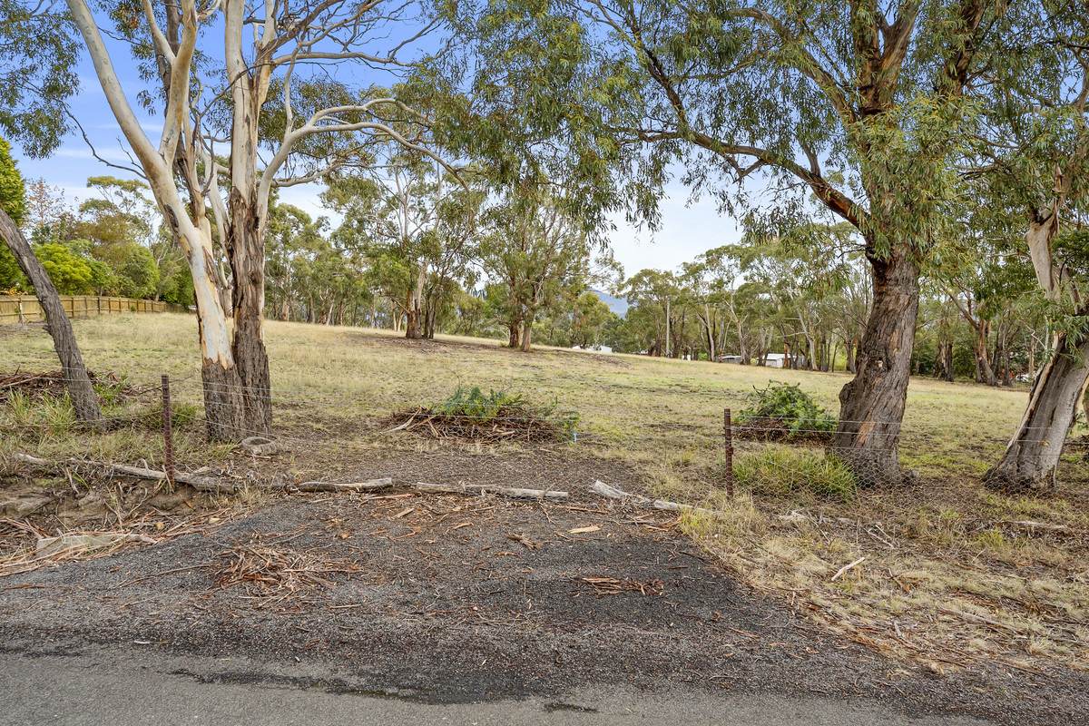 Lot 2, 11 Atkins Road, Granton For Sale by Farmbuy.com - image 8