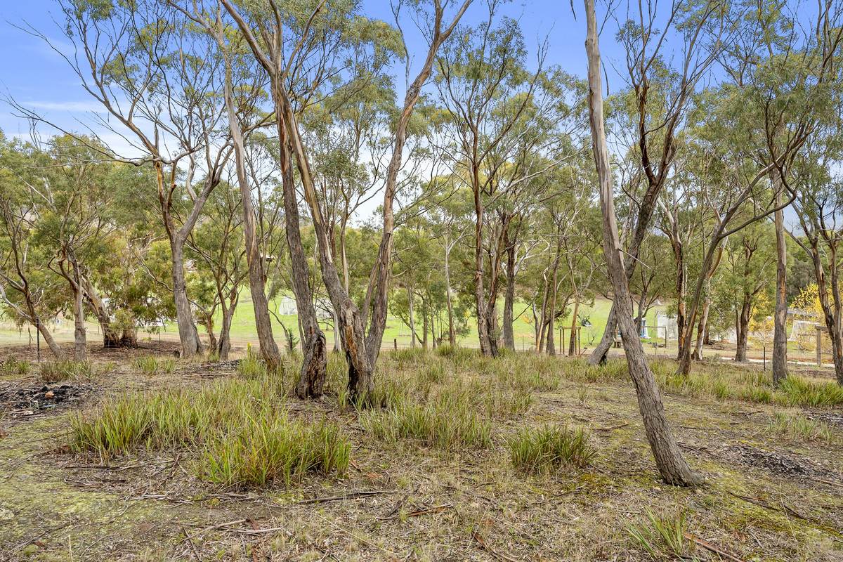 Lot 2, 11 Atkins Road, Granton For Sale by Farmbuy.com - image 15
