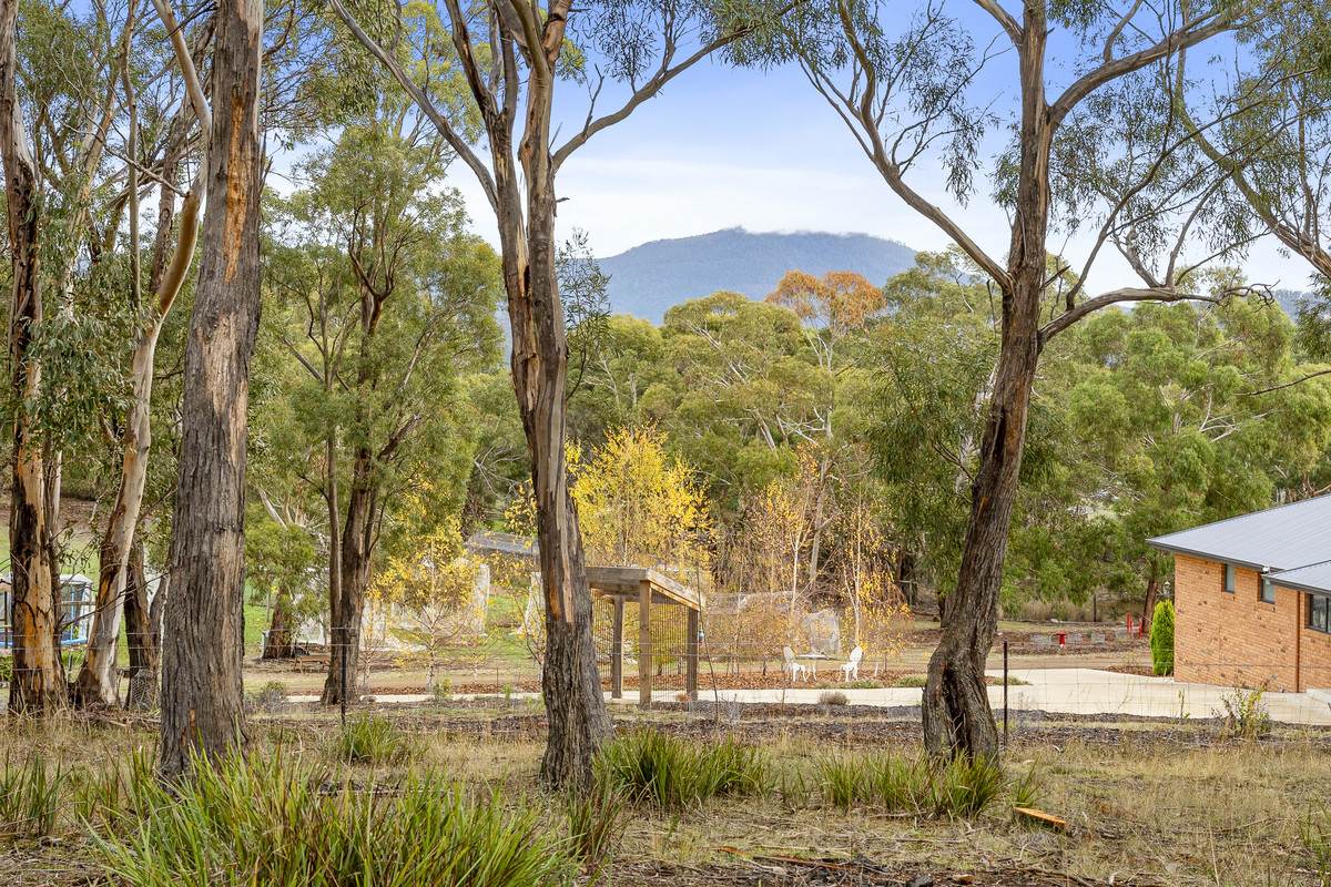 Lot 2, 11 Atkins Road, Granton For Sale by Farmbuy.com - image 16