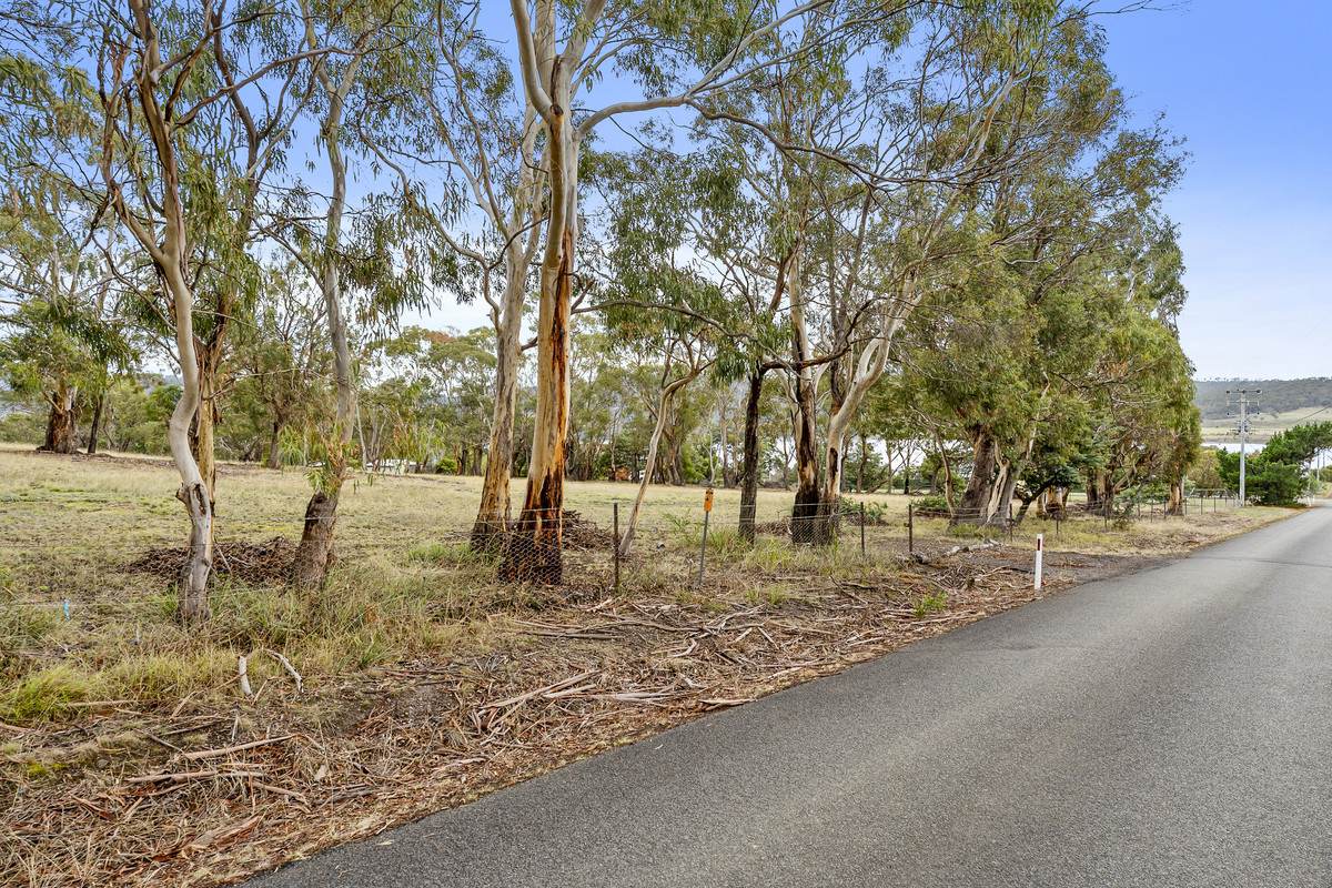 Lot 2, 11 Atkins Road, Granton For Sale by Farmbuy.com - image 13