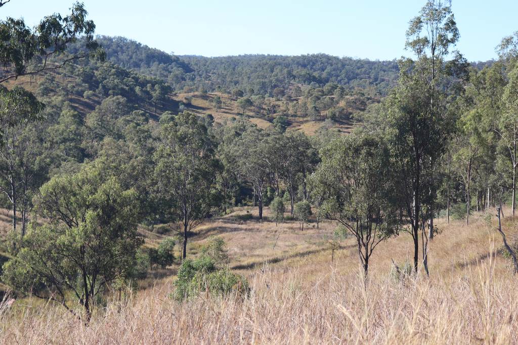 'Chapmans' Monto Mount Perry Road, Mount Perry QLD 4671