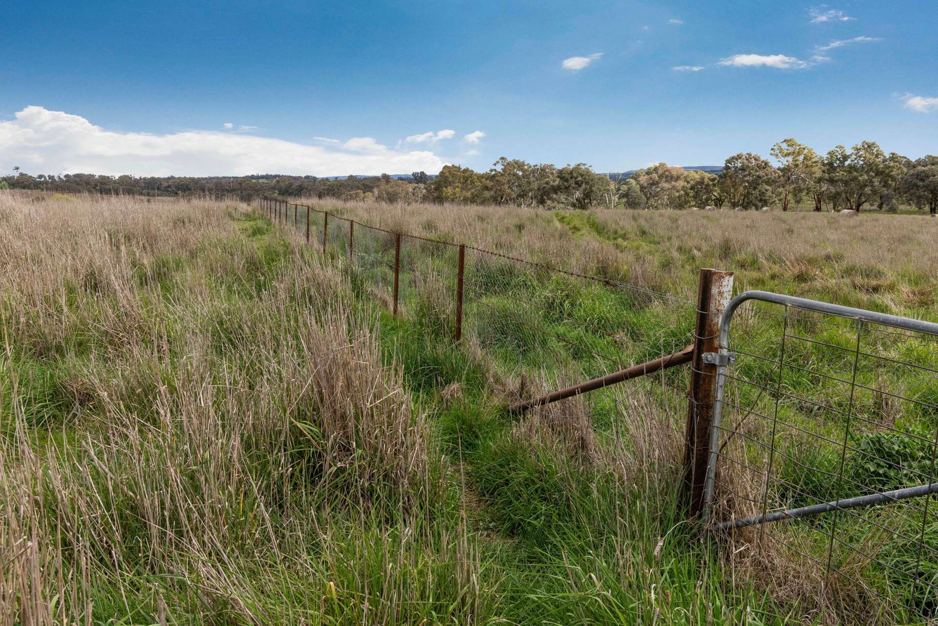 "Reynoldsdale", 1056 Lachlan Valley Way, Boorowa Auction by Farmbuy.com - image 28