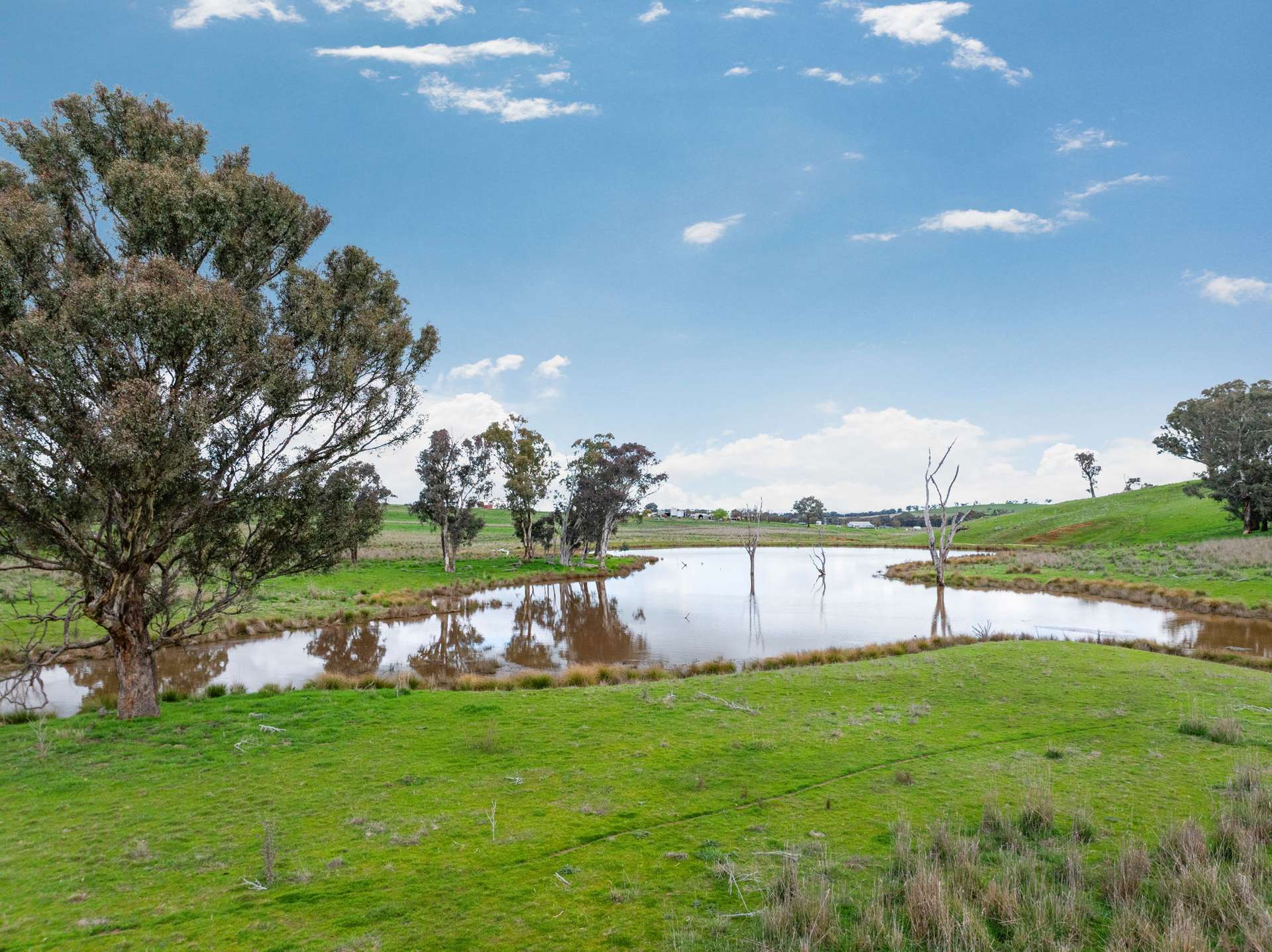 "Reynoldsdale", 1056 Lachlan Valley Way, Boorowa Auction by Farmbuy.com - image 4