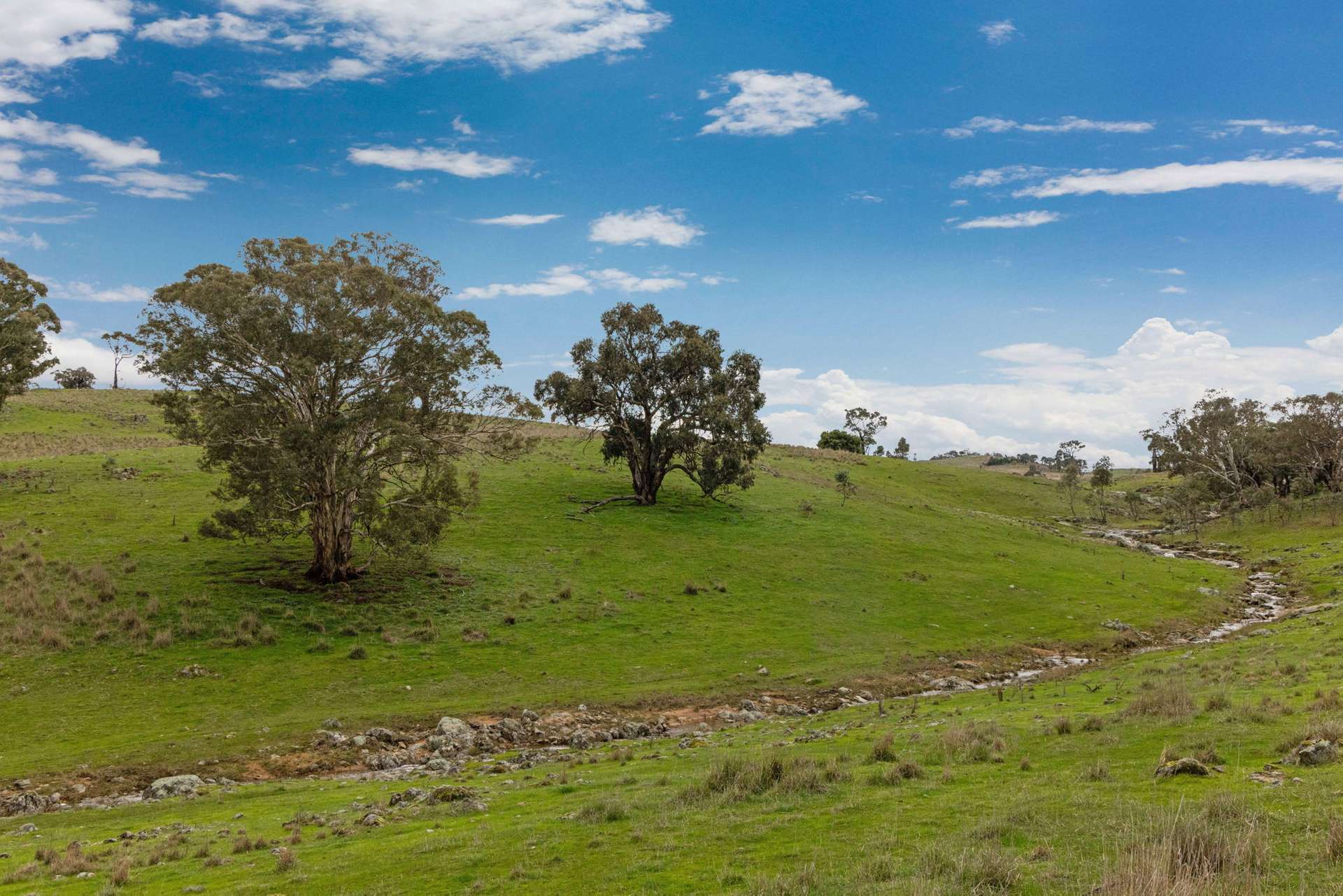 "Reynoldsdale", 1056 Lachlan Valley Way, Boorowa Auction by Farmbuy.com - image 31