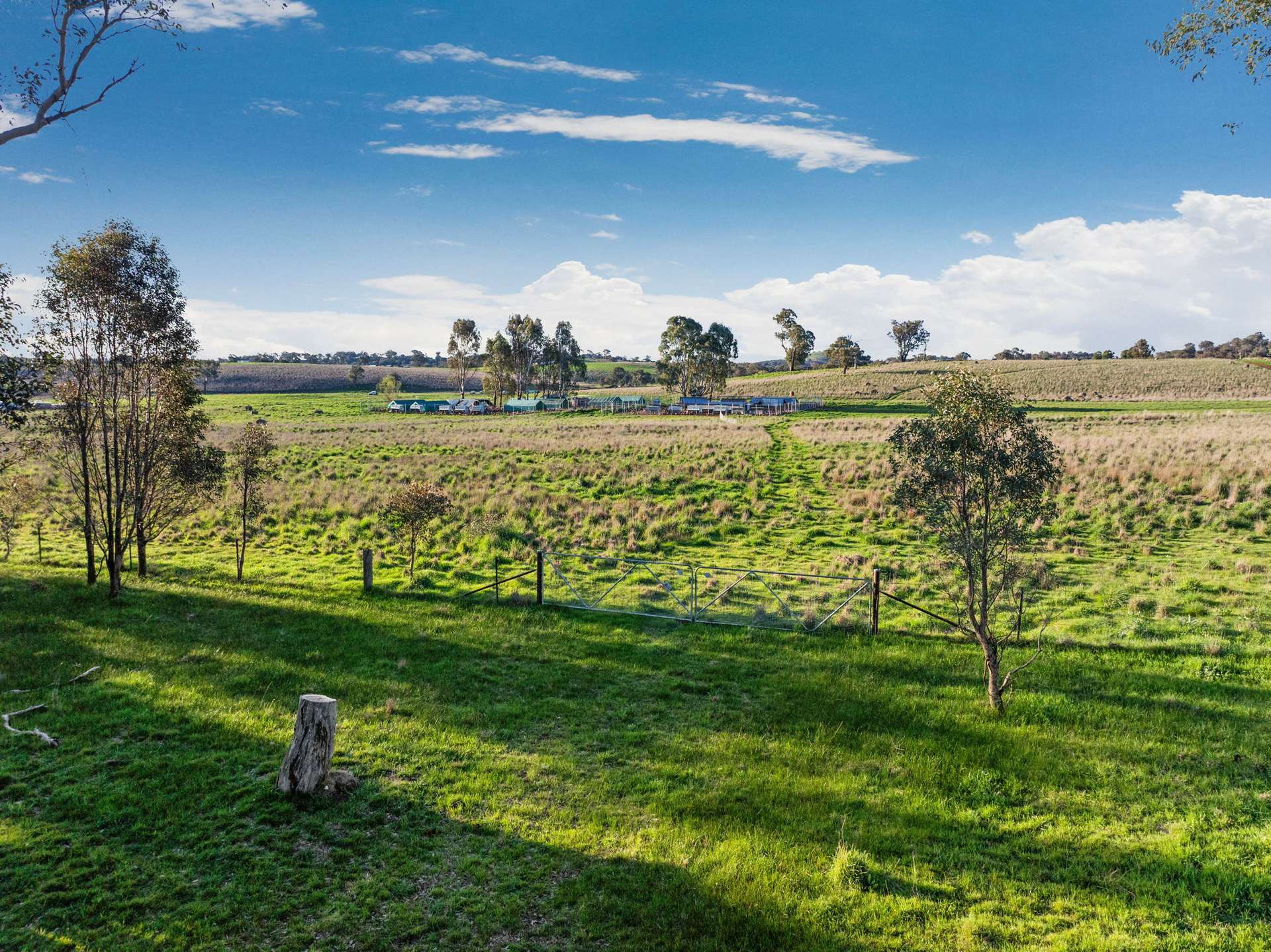 "Reynoldsdale", 1056 Lachlan Valley Way, Boorowa Auction by Farmbuy.com - image 25
