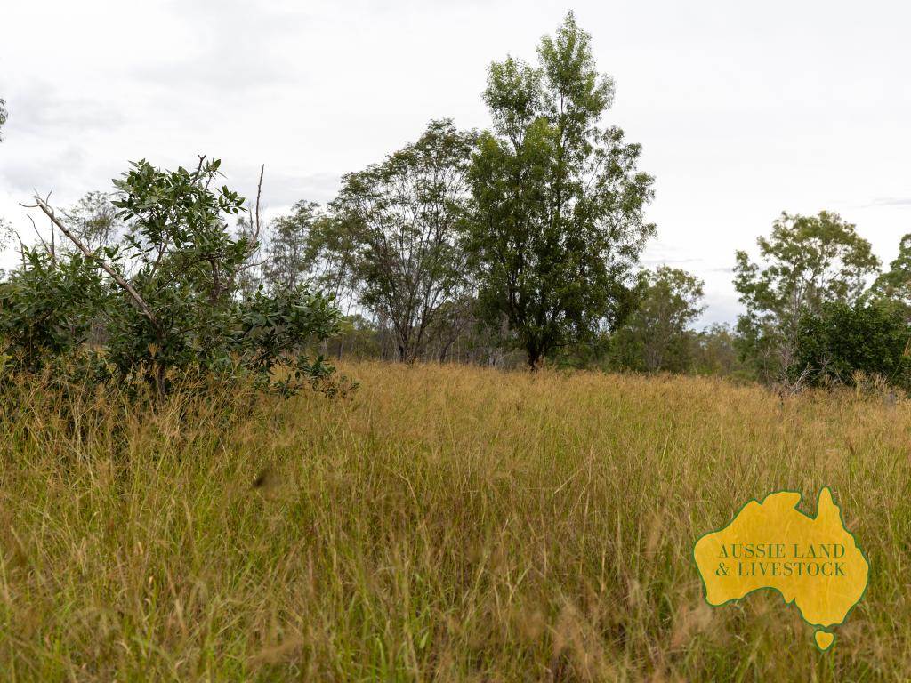 Lot "Lanes'", Lot 3 Boondooma Road, Old Cooranga For Sale by Farmbuy.com - image 24