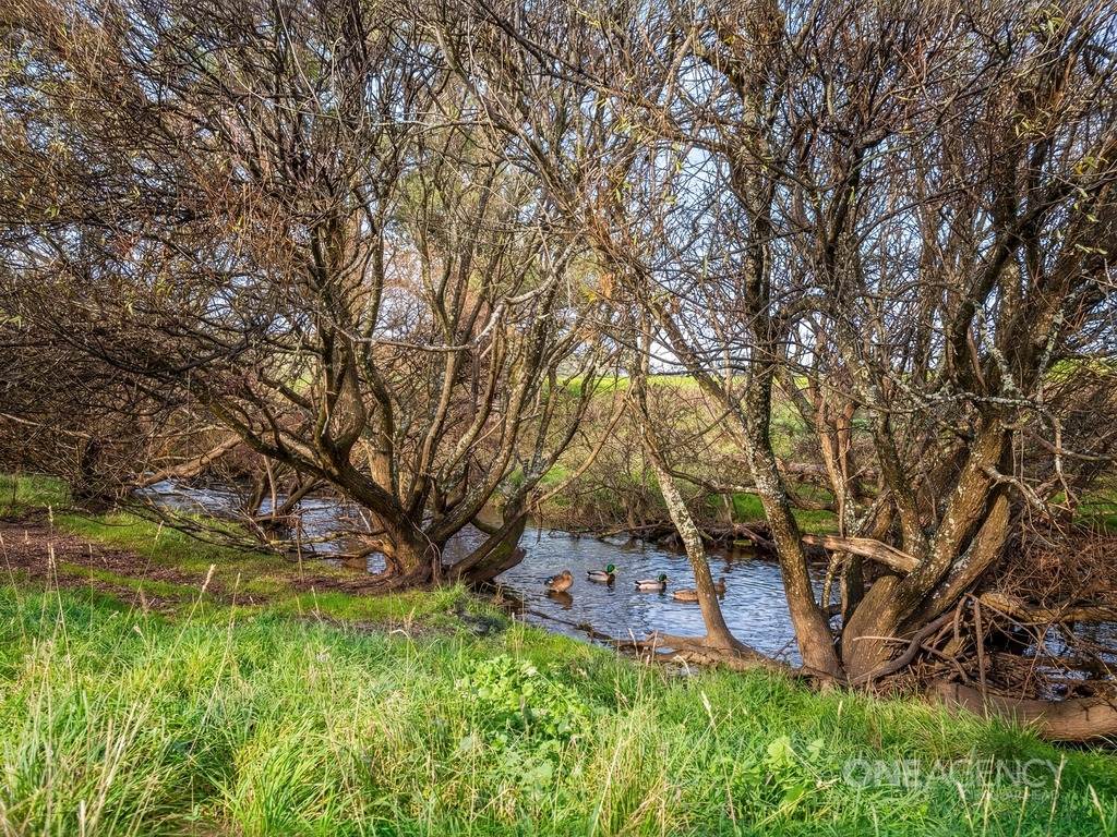101 Trowutta Road, Smithton For Sale by Farmbuy.com - image 19