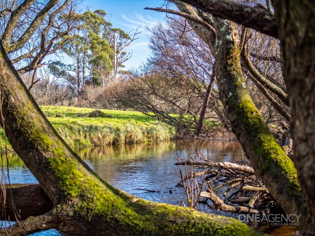 101 Trowutta Road, Smithton For Sale by Farmbuy.com - image 21