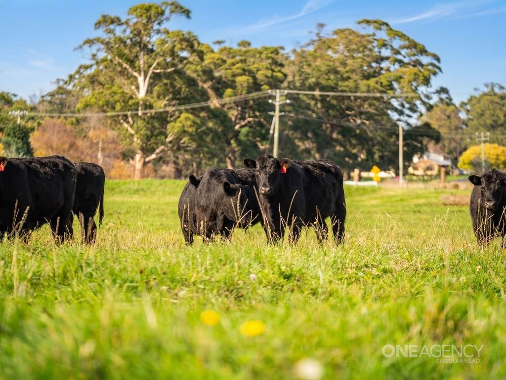 101 Trowutta Road, Smithton For Sale by Farmbuy.com - image 8