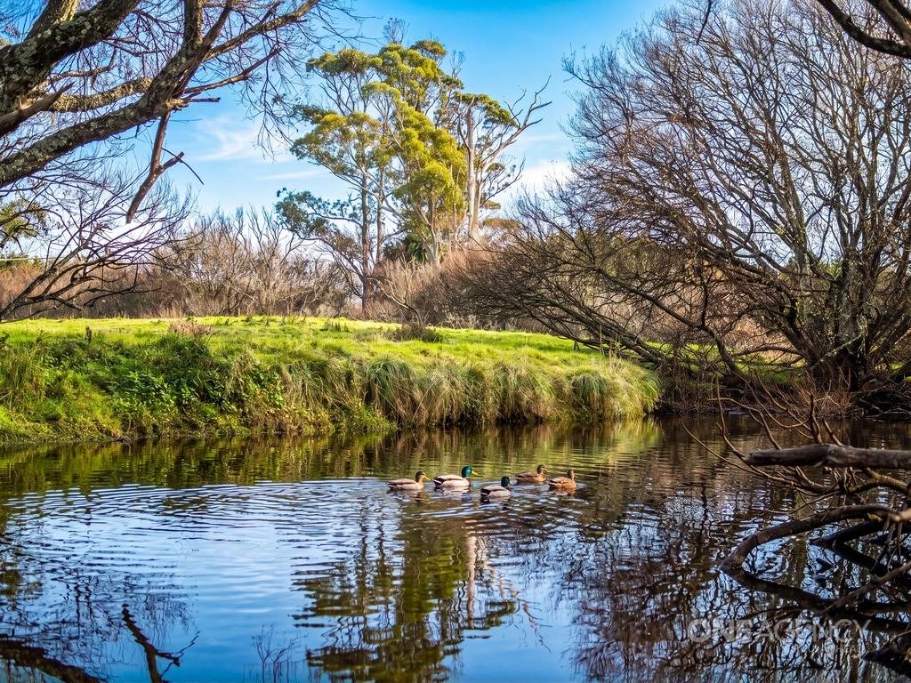 101 Trowutta Road, Smithton For Sale by Farmbuy.com - image 14