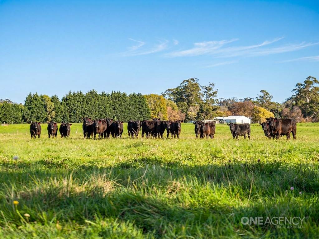 101 Trowutta Road, Smithton For Sale by Farmbuy.com - image 9