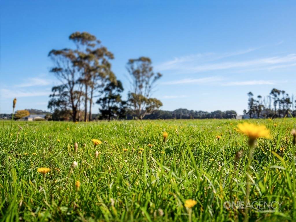 101 Trowutta Road, Smithton For Sale by Farmbuy.com - image 24
