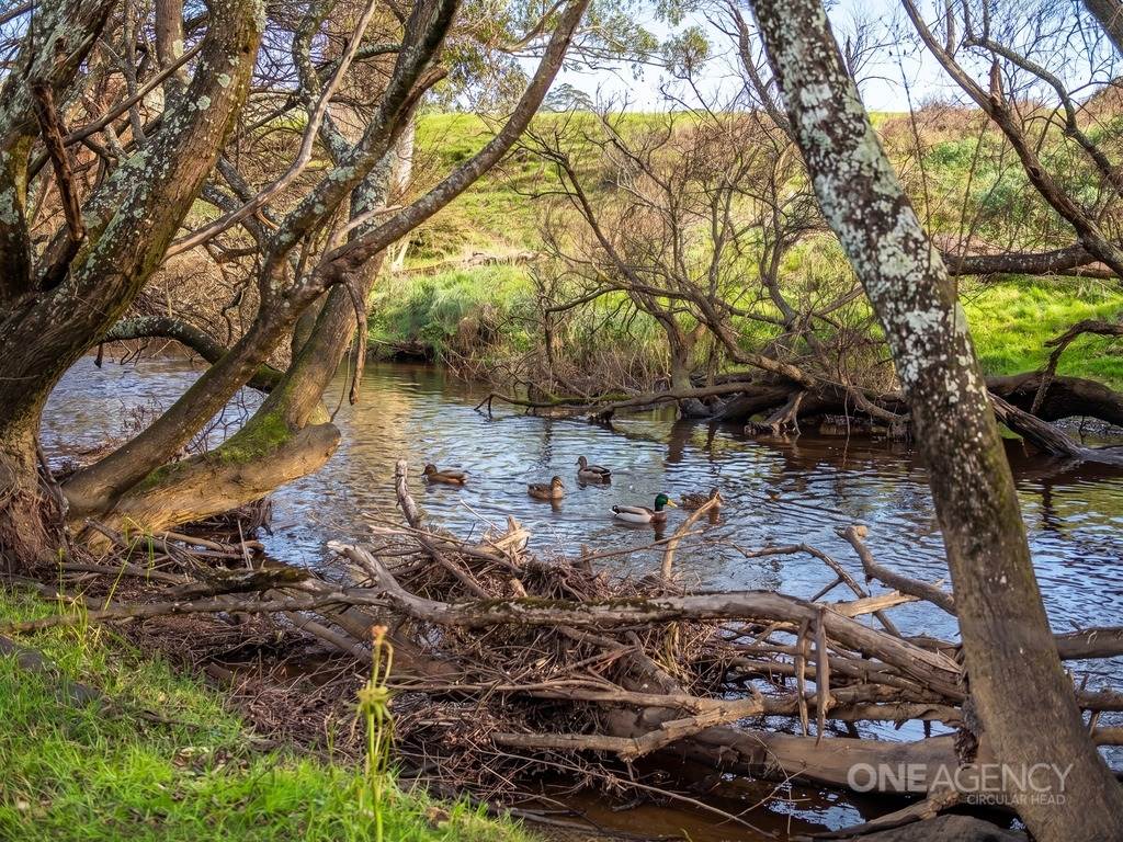 101 Trowutta Road, Smithton For Sale by Farmbuy.com - image 13