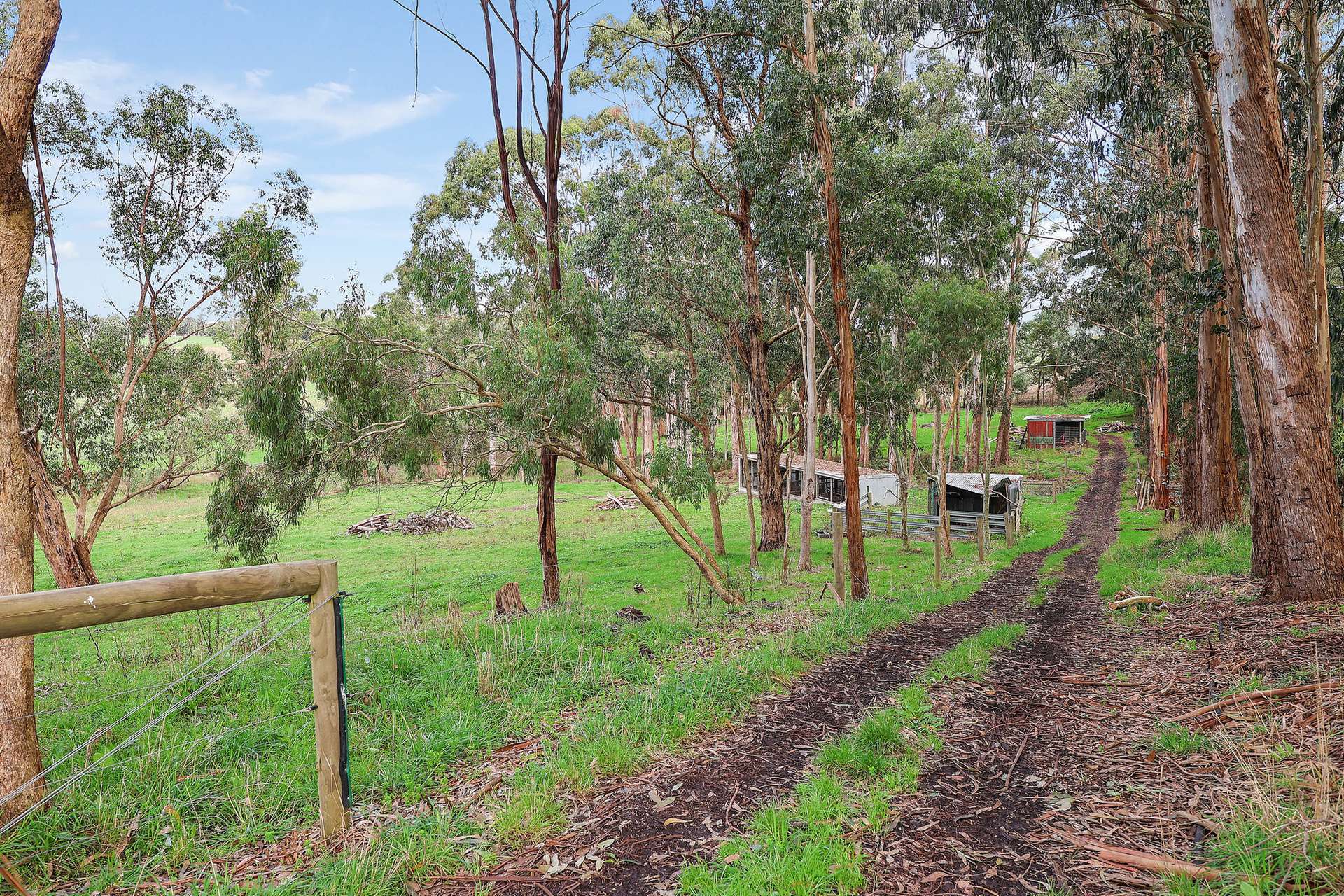 90 Haywards Road, Timboon For Sale by Farmbuy.com - image 15