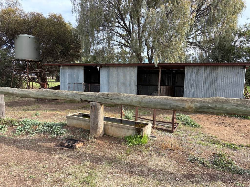 6230 Wakool Road, Wakool NSW 2710