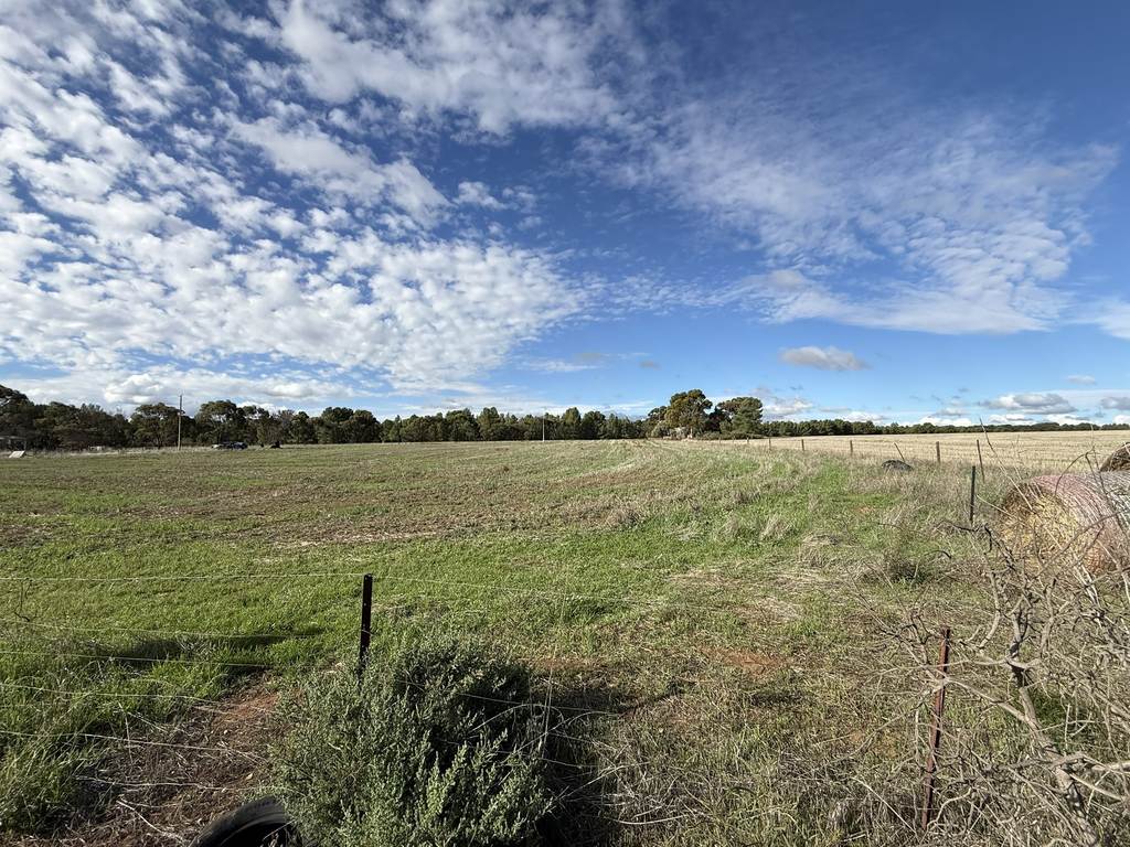 Section 307 Horrocks Highway, Gladstone SA 5473