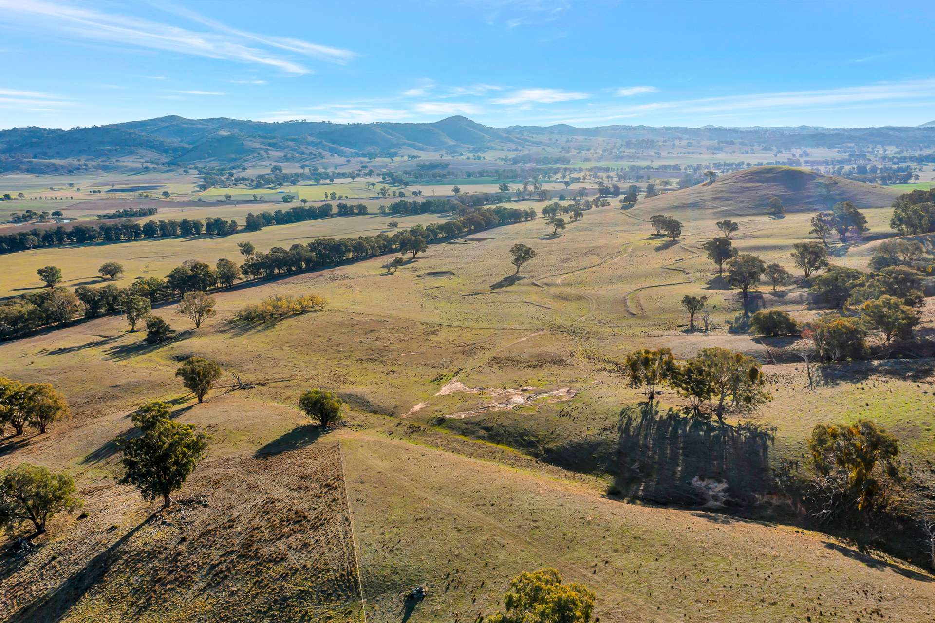 160 Gibsons Lane, Mudgee For Sale by Farmbuy.com - image 7