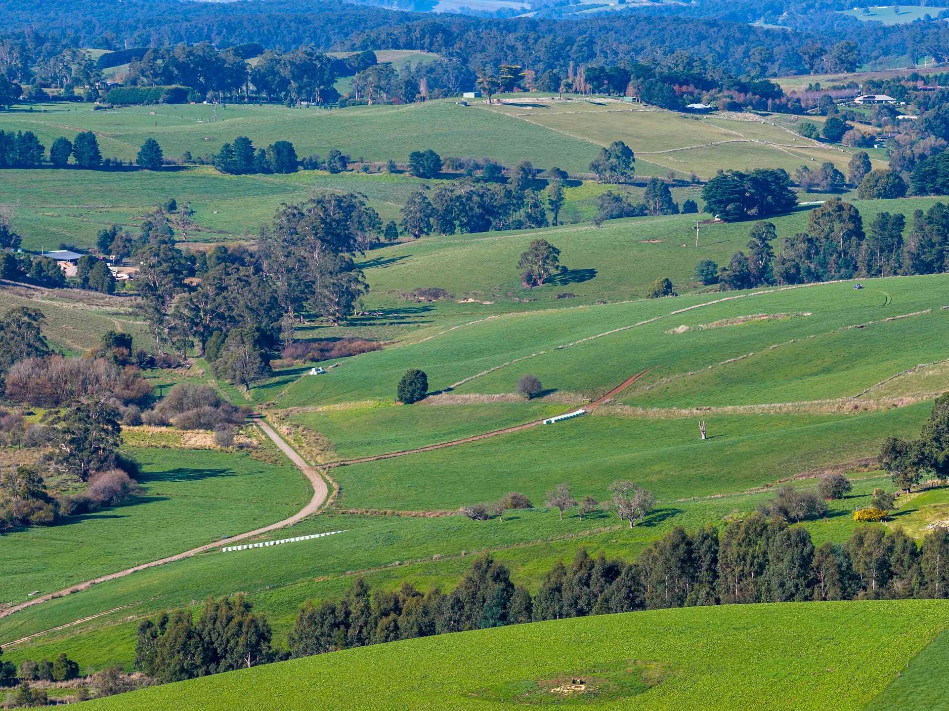 2230 Main Neerim Road, Neerim South For Sale by Farmbuy.com - image 12