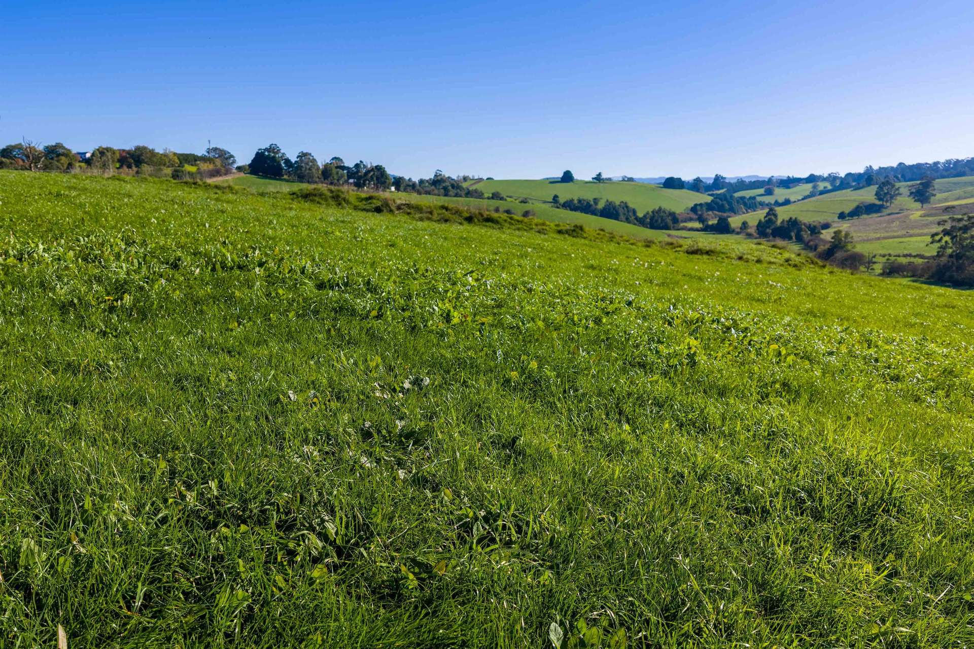2230 Main Neerim Road, Neerim South For Sale by Farmbuy.com - image 7