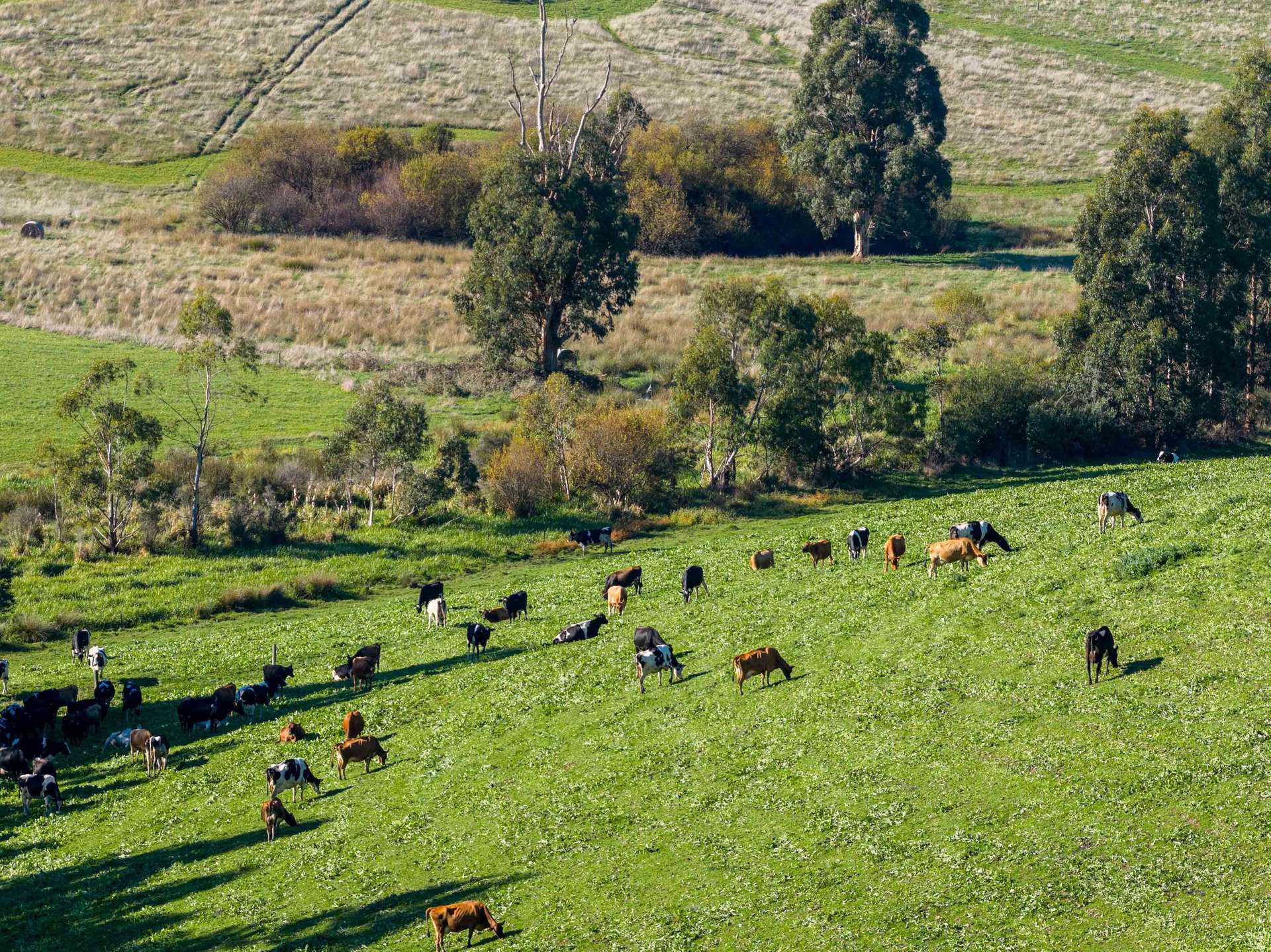 2230 Main Neerim Road, Neerim South For Sale by Farmbuy.com - image 9