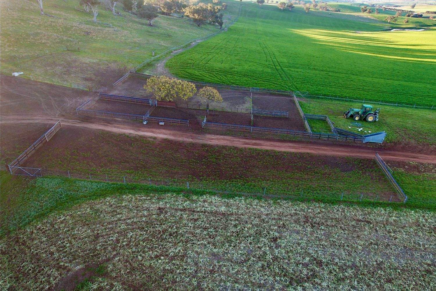 860 Wantabadgery Road, Wagga Wagga For Sale by Farmbuy.com - image 9