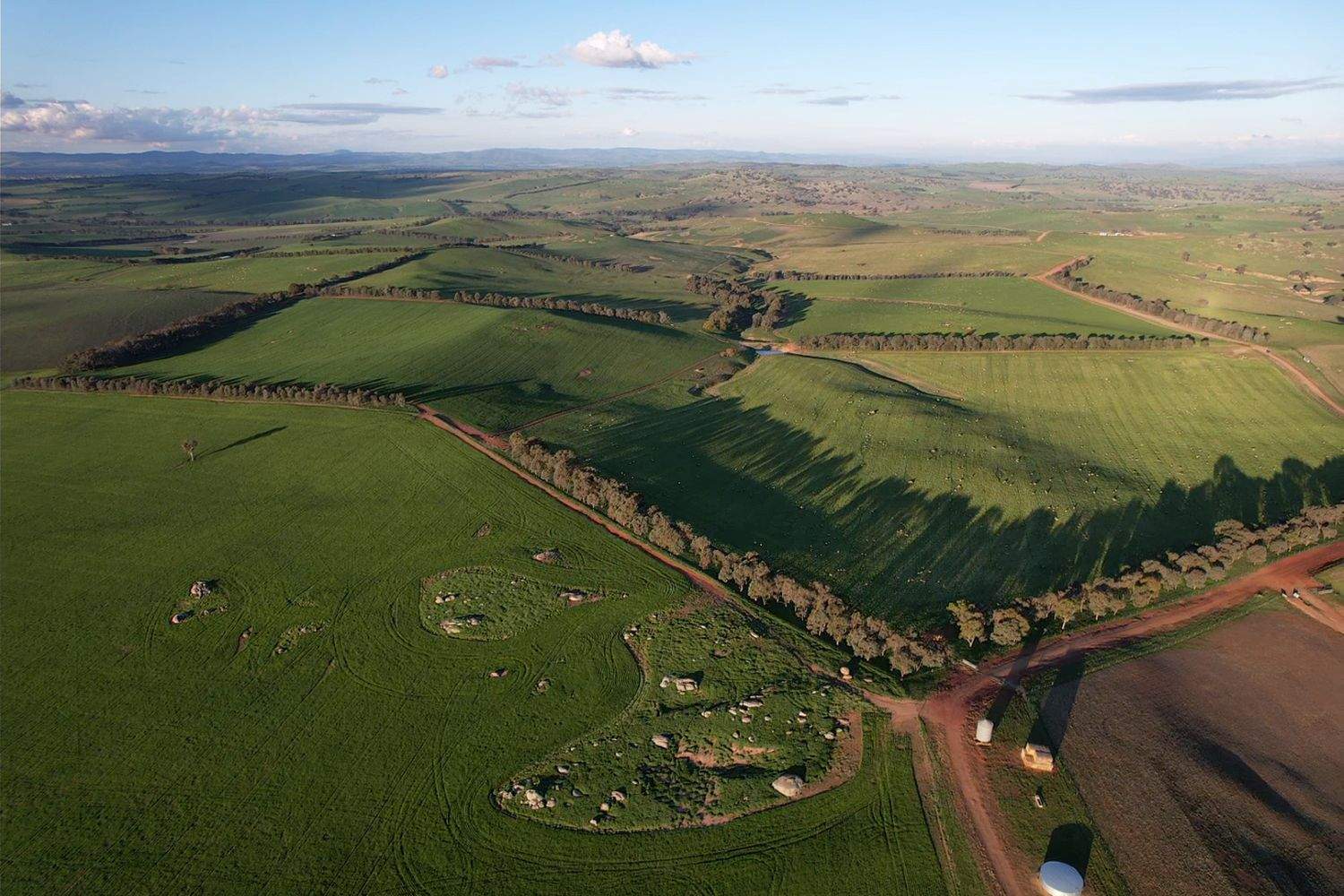 860 Wantabadgery Road, Wagga Wagga For Sale by Farmbuy.com - image 2