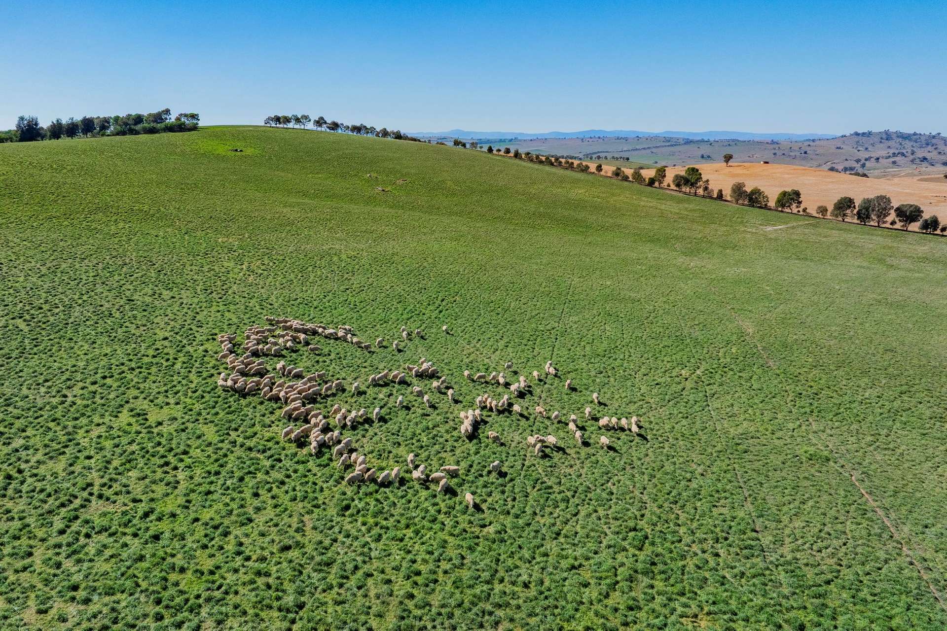 860 Wantabadgery Road, Wagga Wagga For Sale by Farmbuy.com - image 13