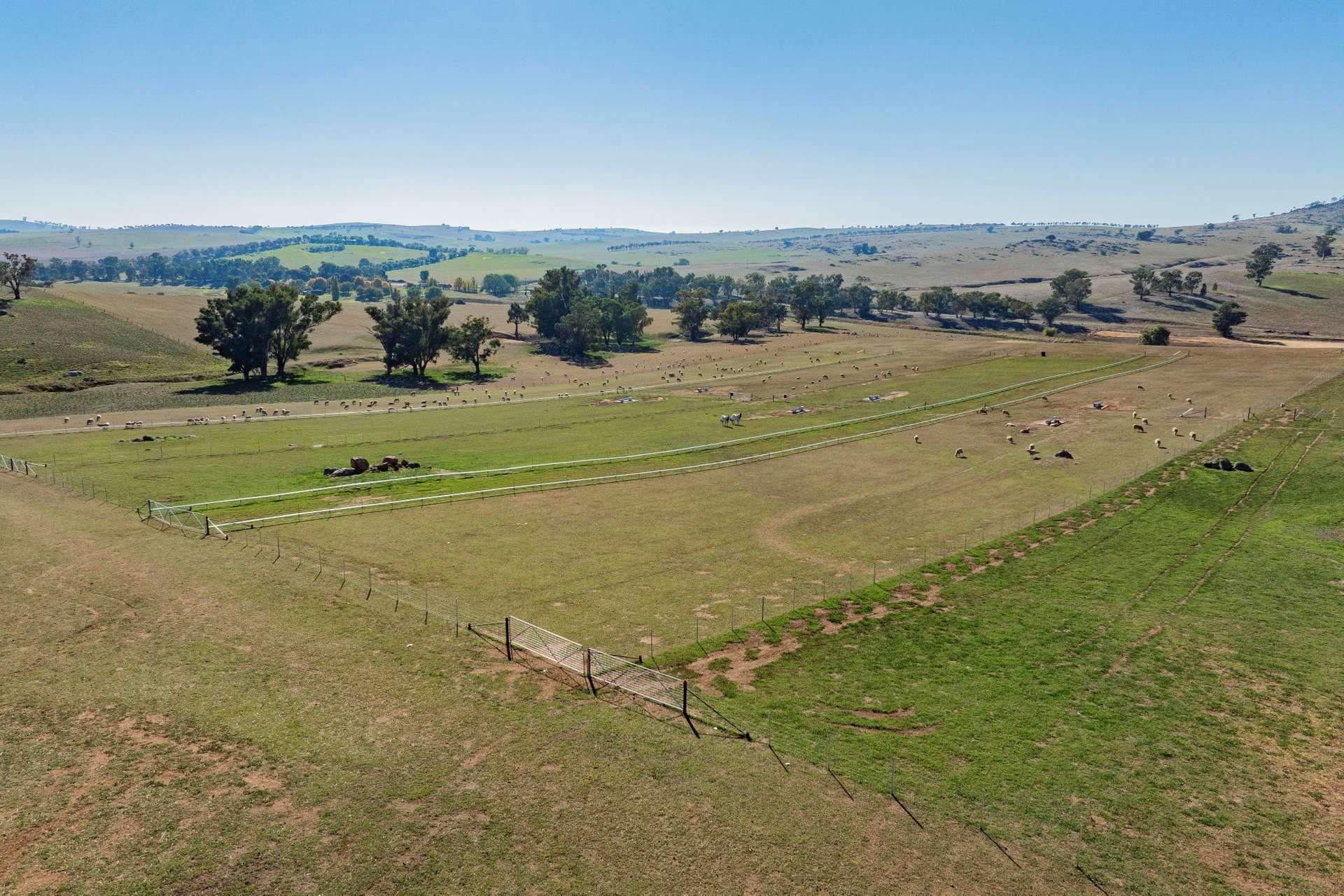 860 Wantabadgery Road, Wagga Wagga For Sale by Farmbuy.com - image 21