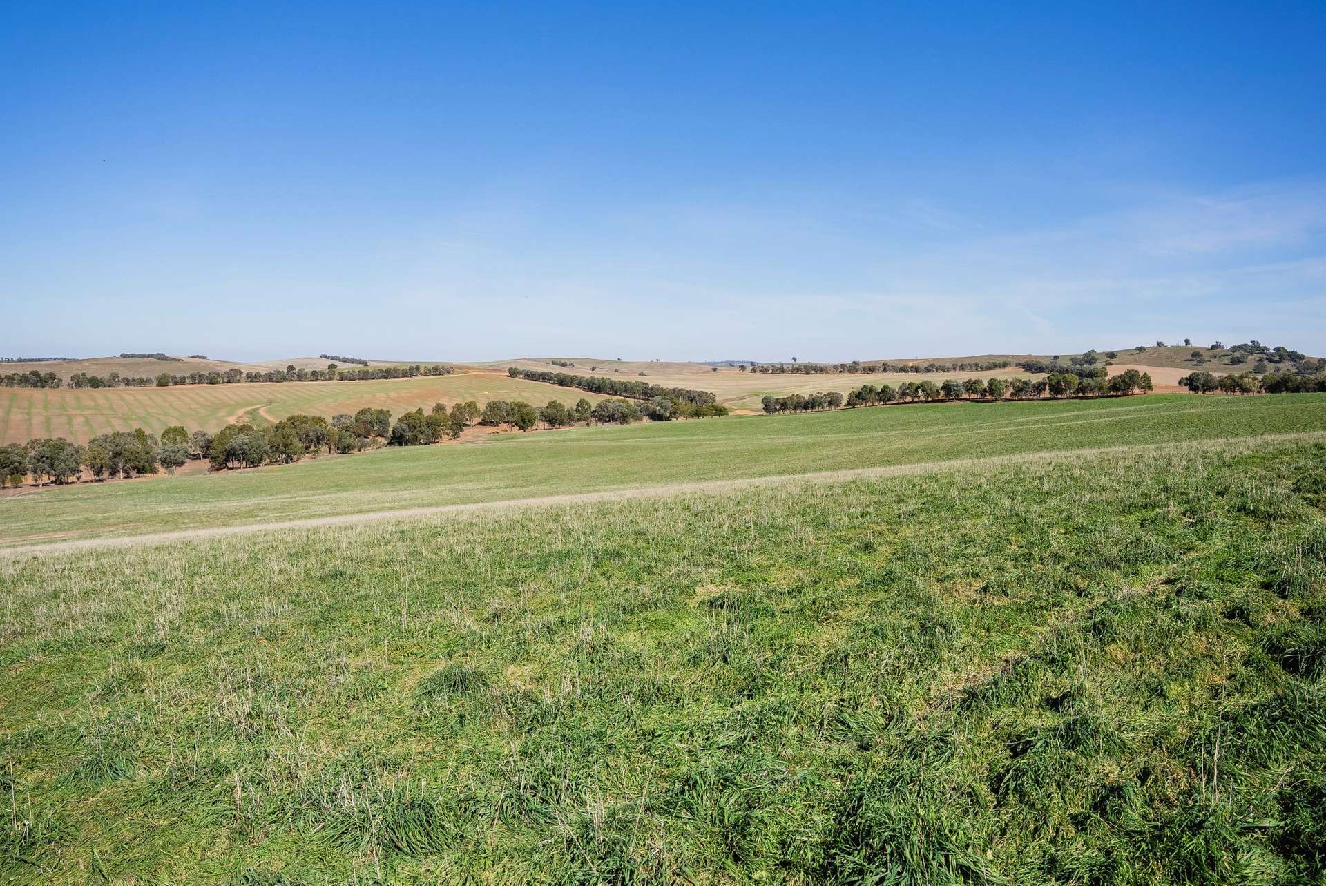 860 Wantabadgery Road, Wagga Wagga For Sale by Farmbuy.com - image 12