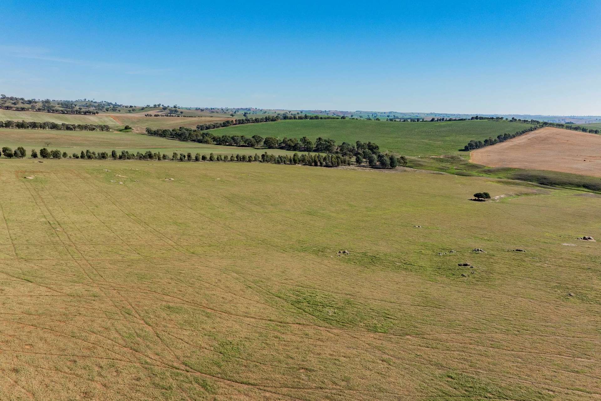 860 Wantabadgery Road, Wagga Wagga For Sale by Farmbuy.com - image 16