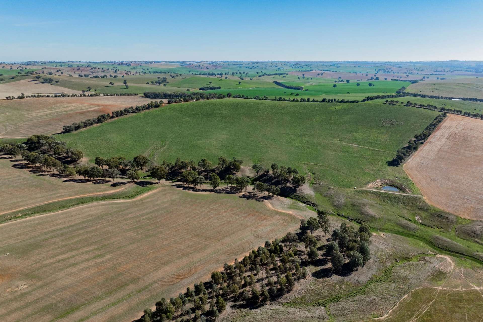 860 Wantabadgery Road, Wagga Wagga For Sale by Farmbuy.com - image 17