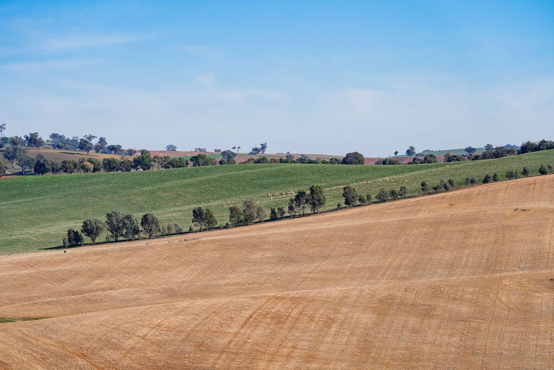 860 Wantabadgery Road, Wagga Wagga For Sale by Farmbuy.com - image 18