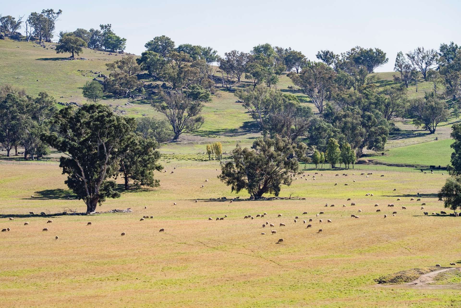 860 Wantabadgery Road, Wagga Wagga For Sale by Farmbuy.com - image 24
