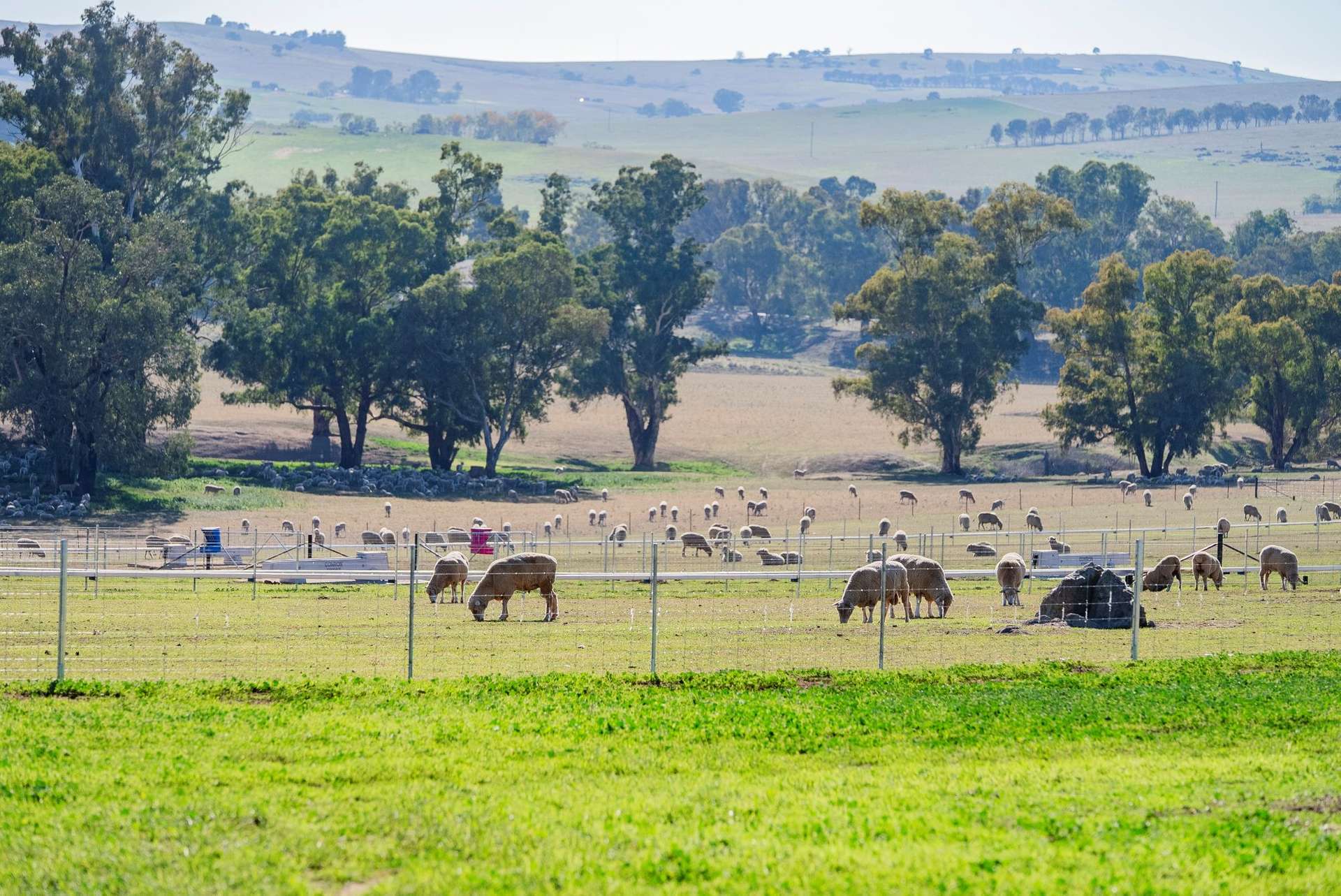 860 Wantabadgery Road, Wagga Wagga For Sale by Farmbuy.com - image 19